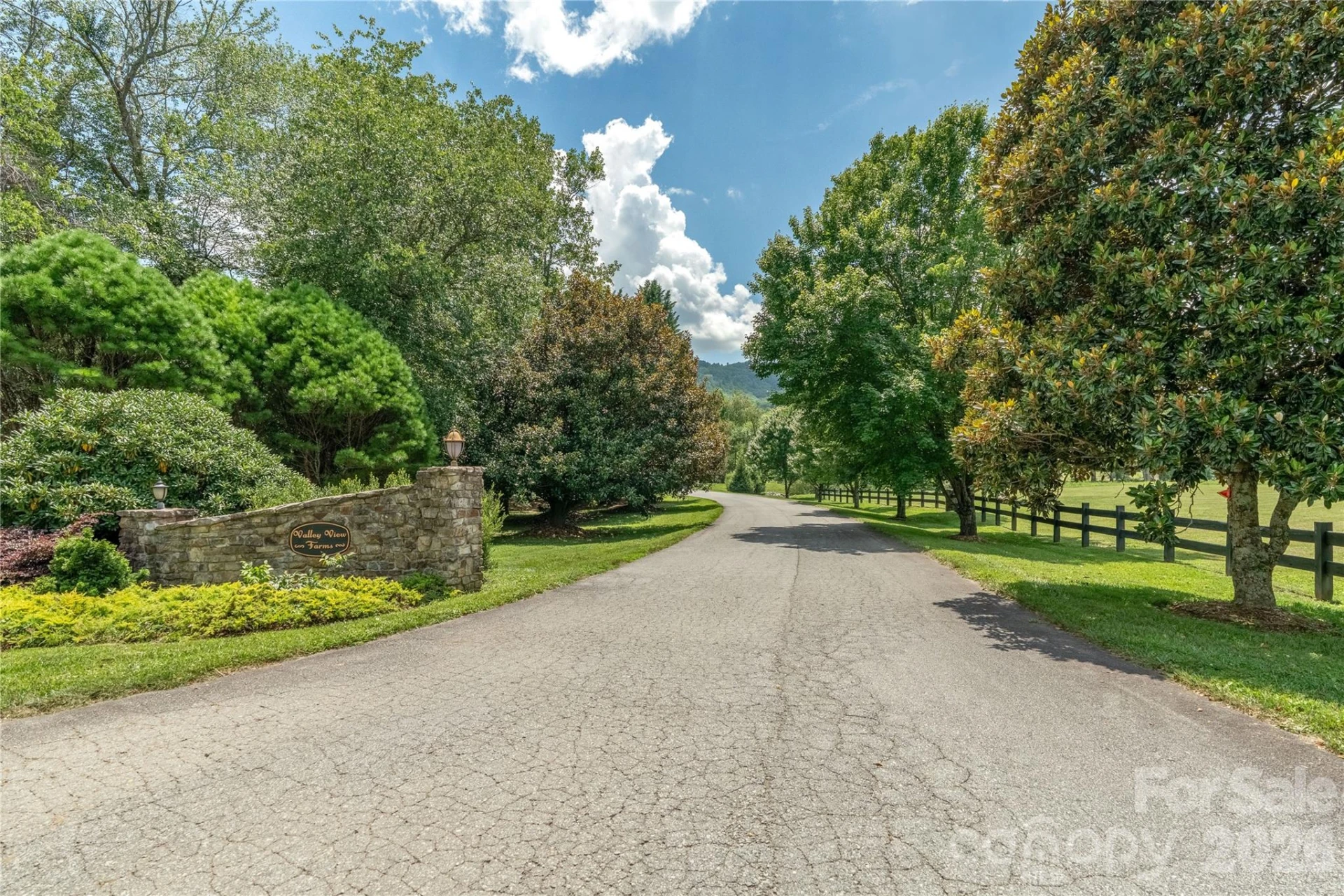 90 Saddle Club Lane - Photo 45