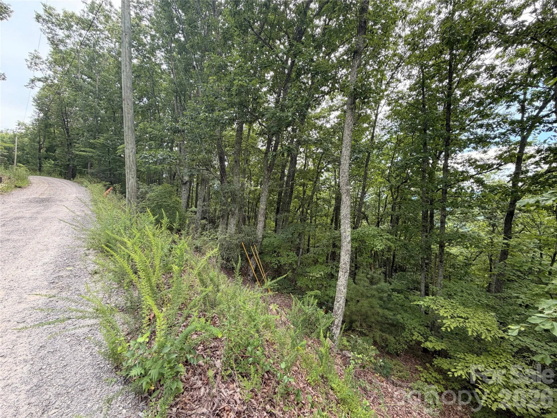 0 Harrison Hill Road #15 - Photo 11