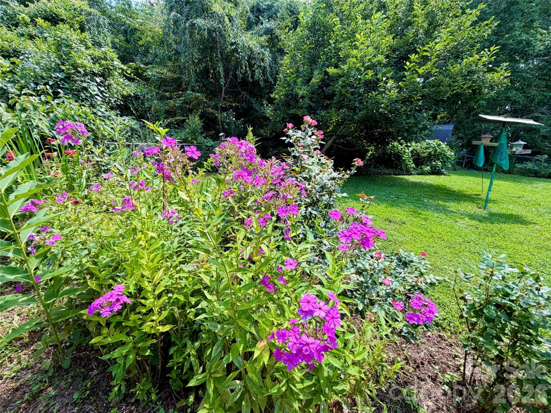 5 Dewberry Drive - Photo 16