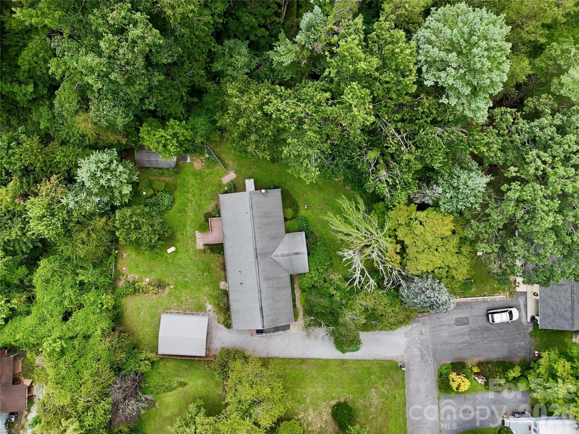 5 Dewberry Drive - Photo 4