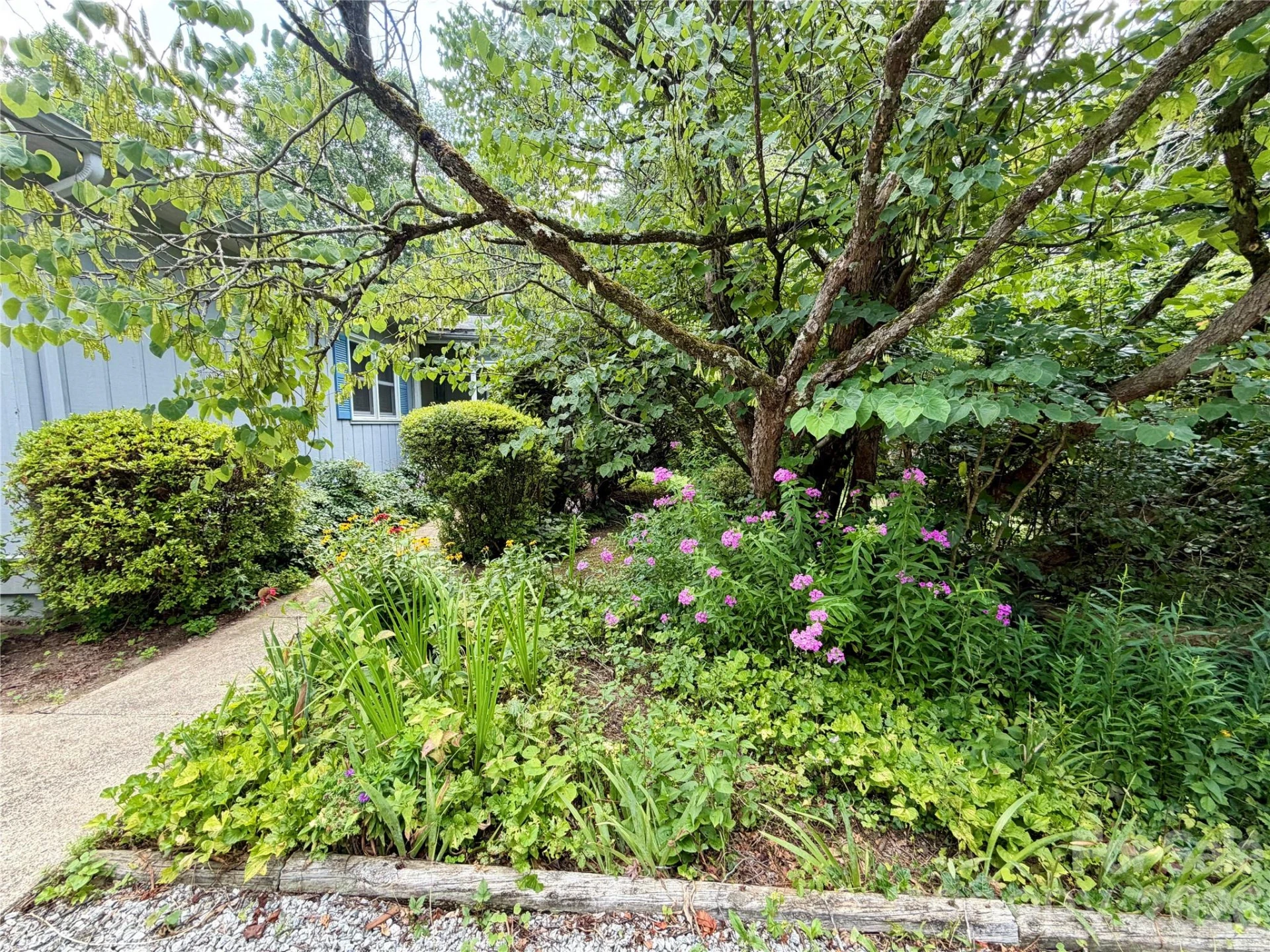 5 Dewberry Drive - Photo 7
