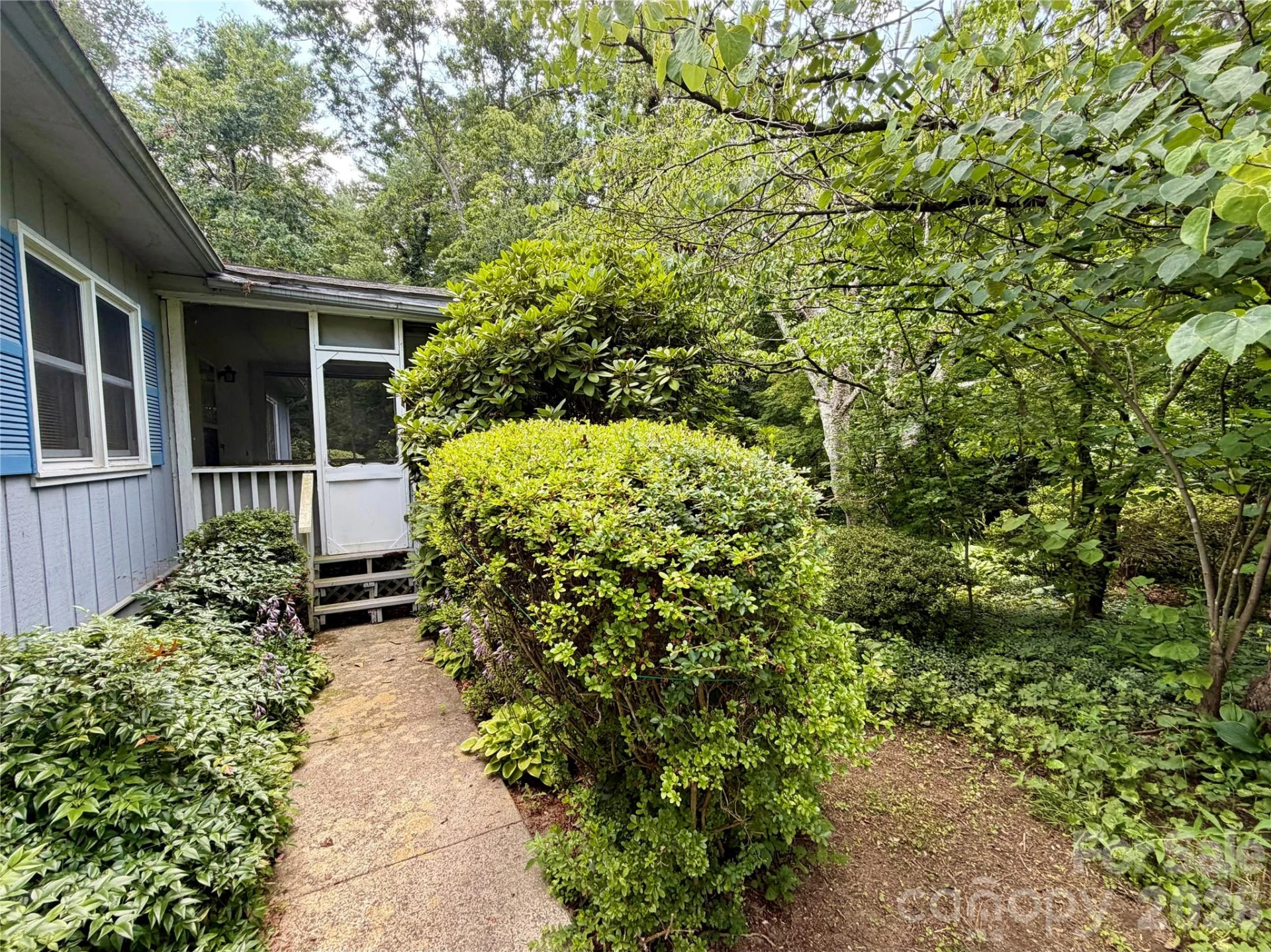 5 Dewberry Drive - Photo 8