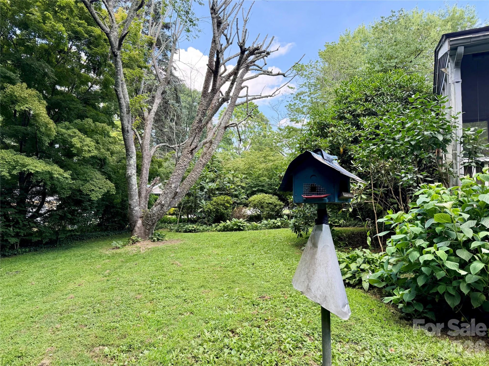 5 Dewberry Drive - Photo 10