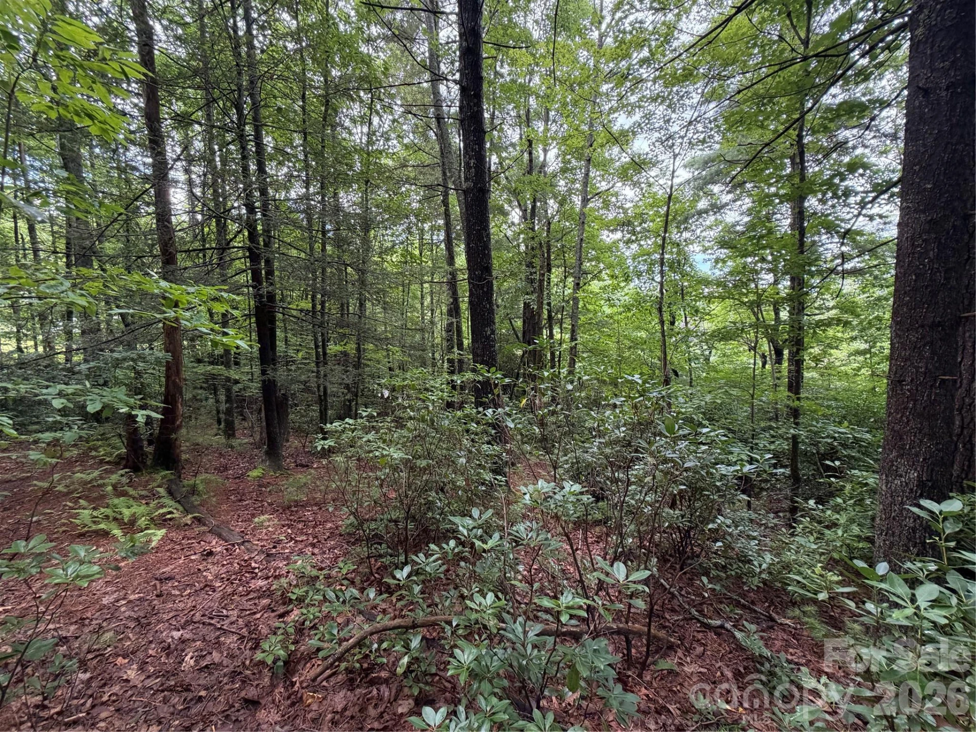 0 Gateway Drive #10 - Photo 12