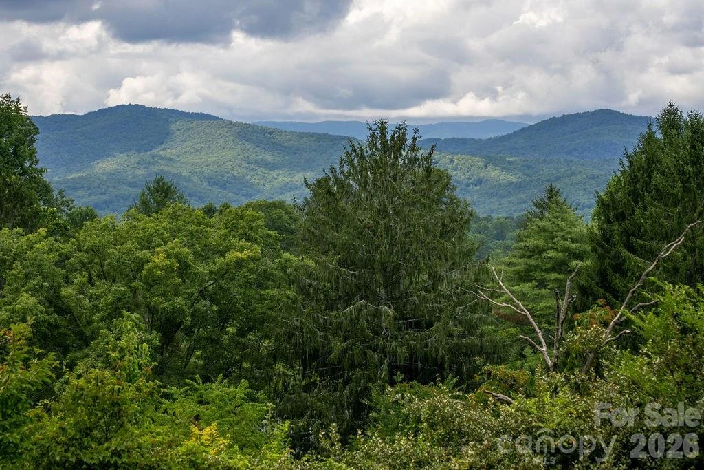 337 Delphia Drive - Photo 8