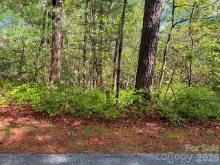 FR16 opossum Path #FR 16 - Photo 11