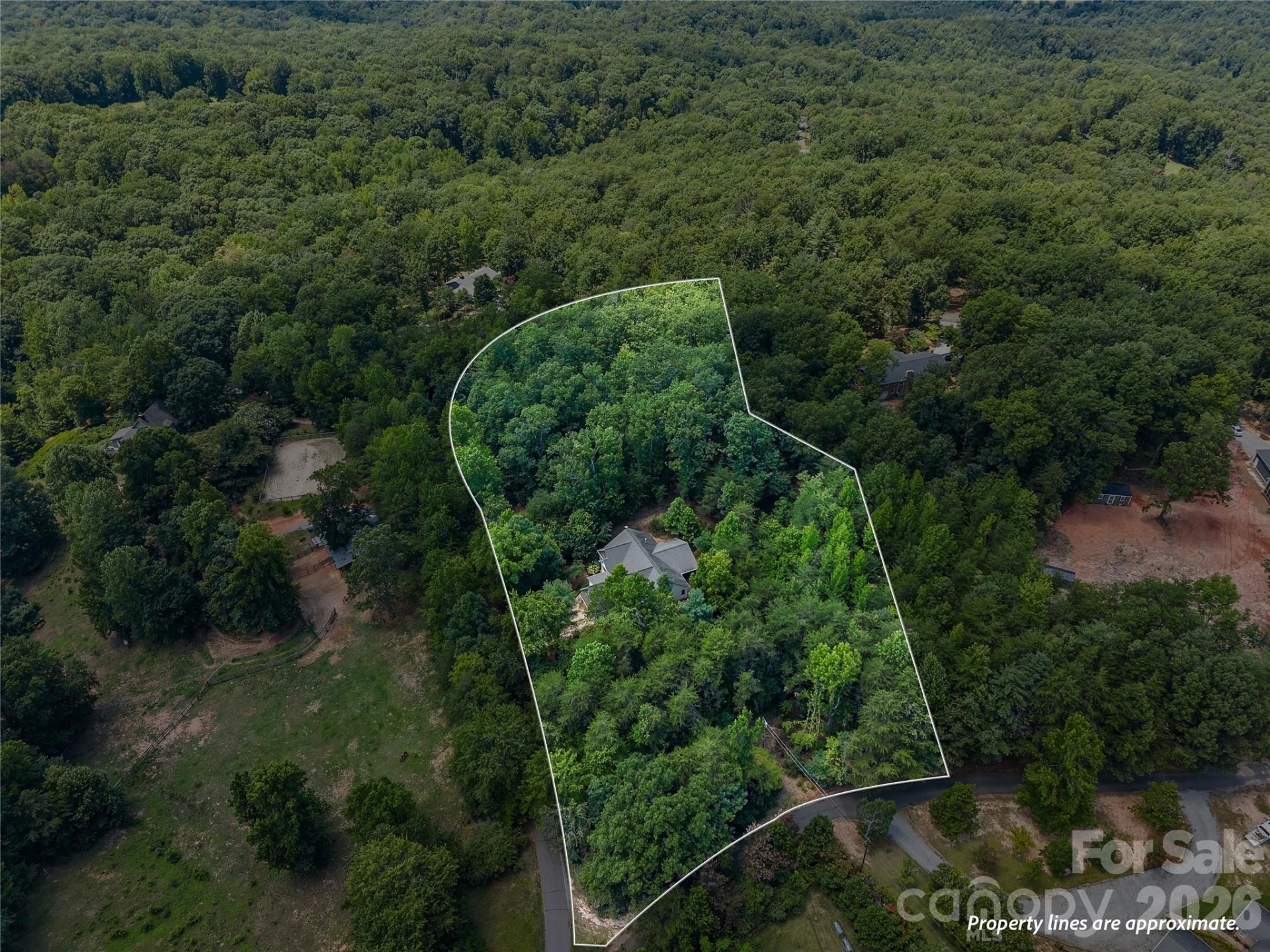 240 Persimmon Hill Drive - Photo 48