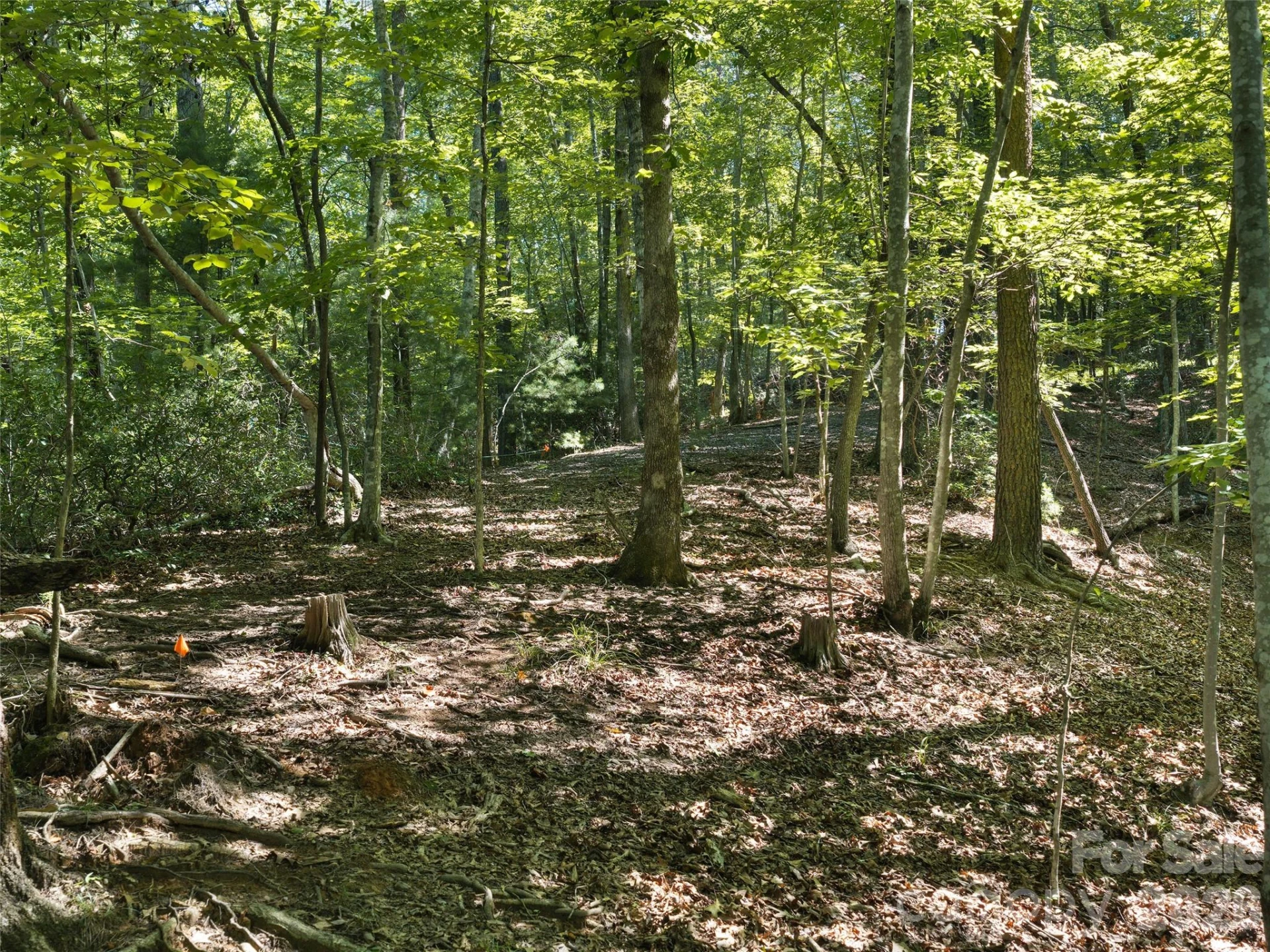 Lot #13 South Cove Road - Photo 11