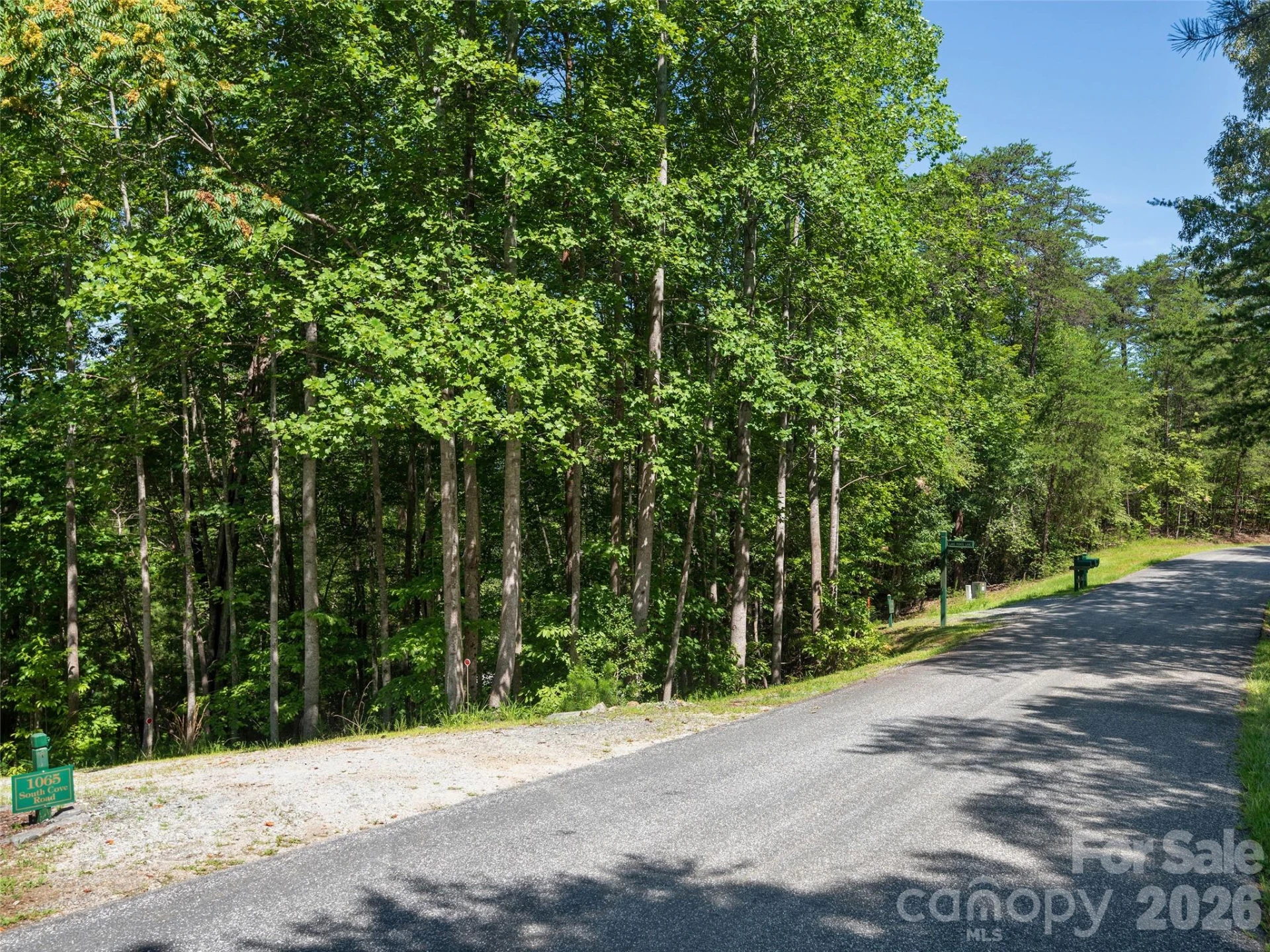 Lot #13 South Cove Road - Photo 16