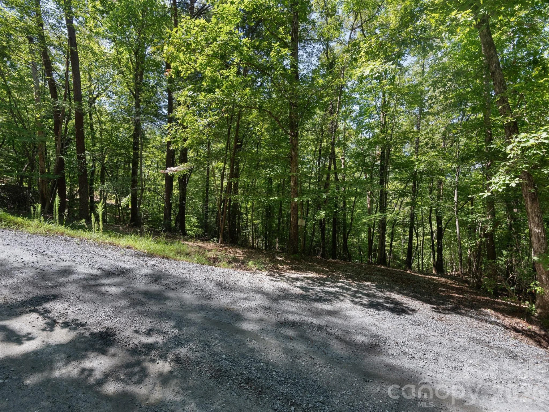 Lot #13 South Cove Road - Photo 7