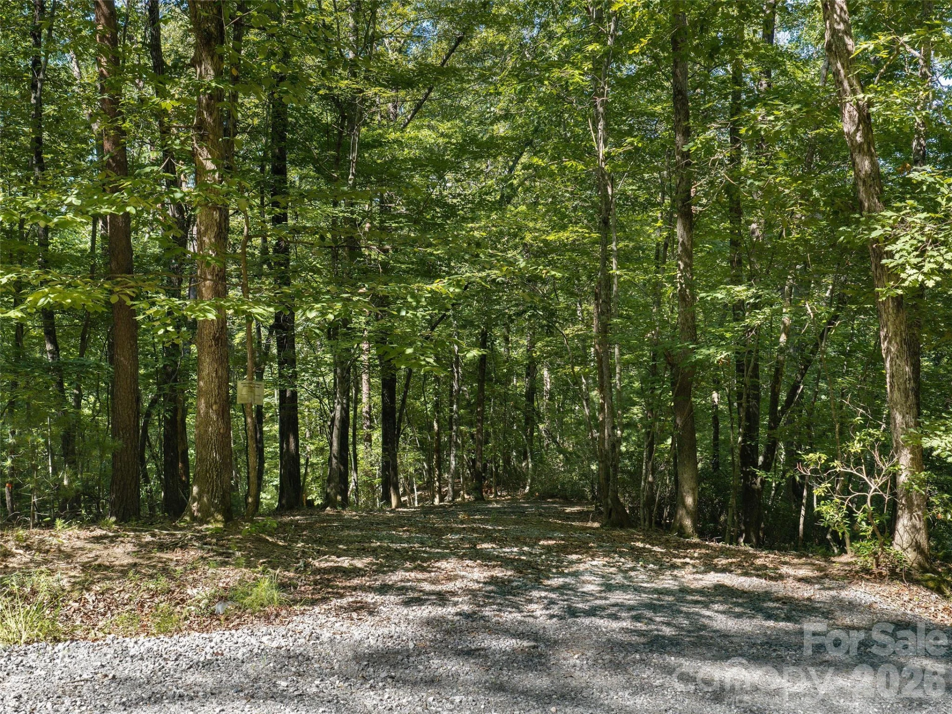 Lot #13 South Cove Road - Photo 8