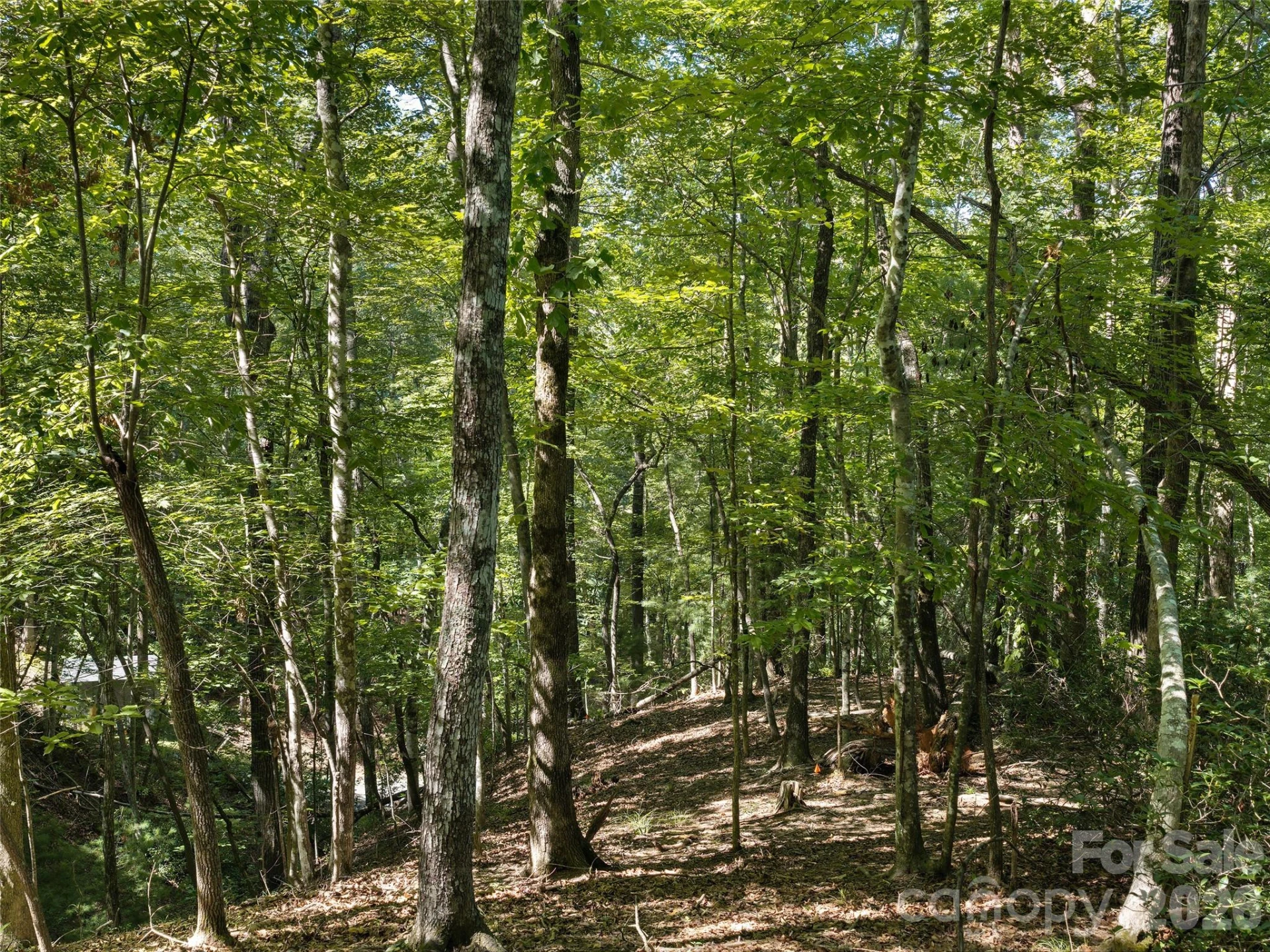Lot #13 South Cove Road - Photo 9