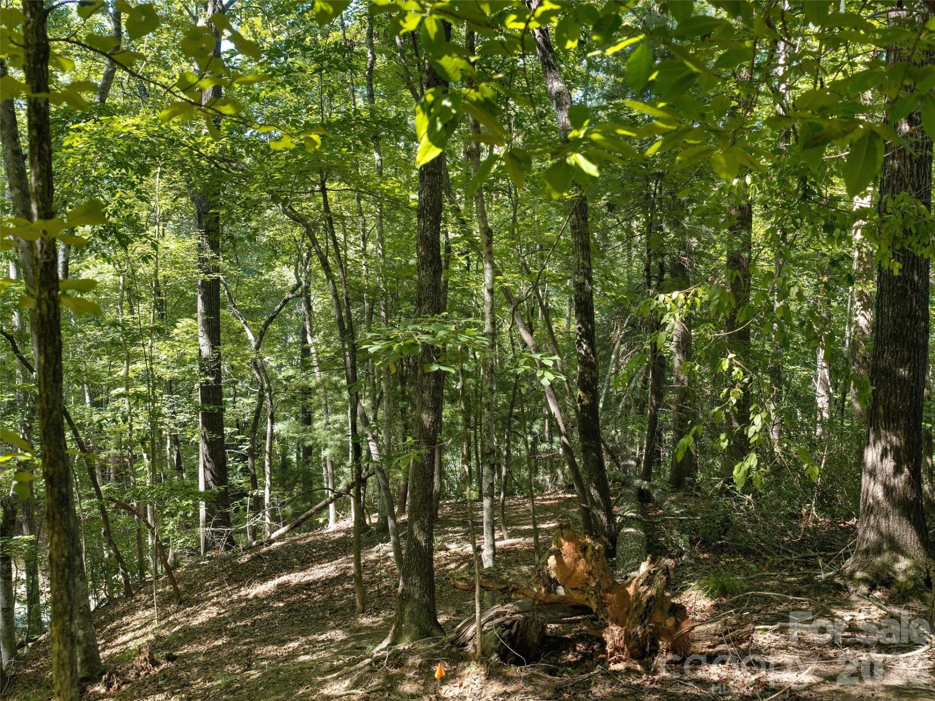 Lot #13 South Cove Road - Photo 10