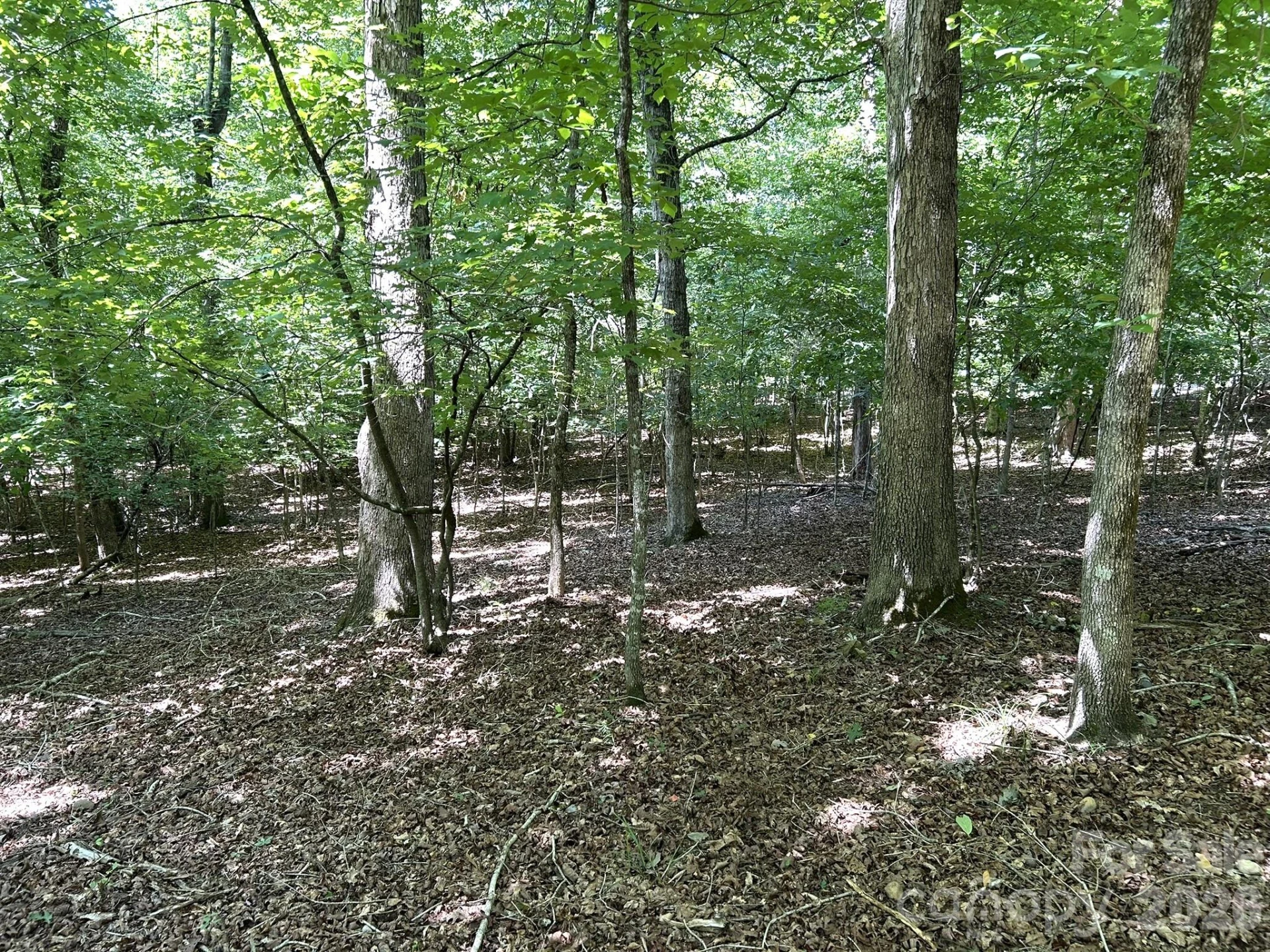 00 River Crest Parkway #26 - Photo 3