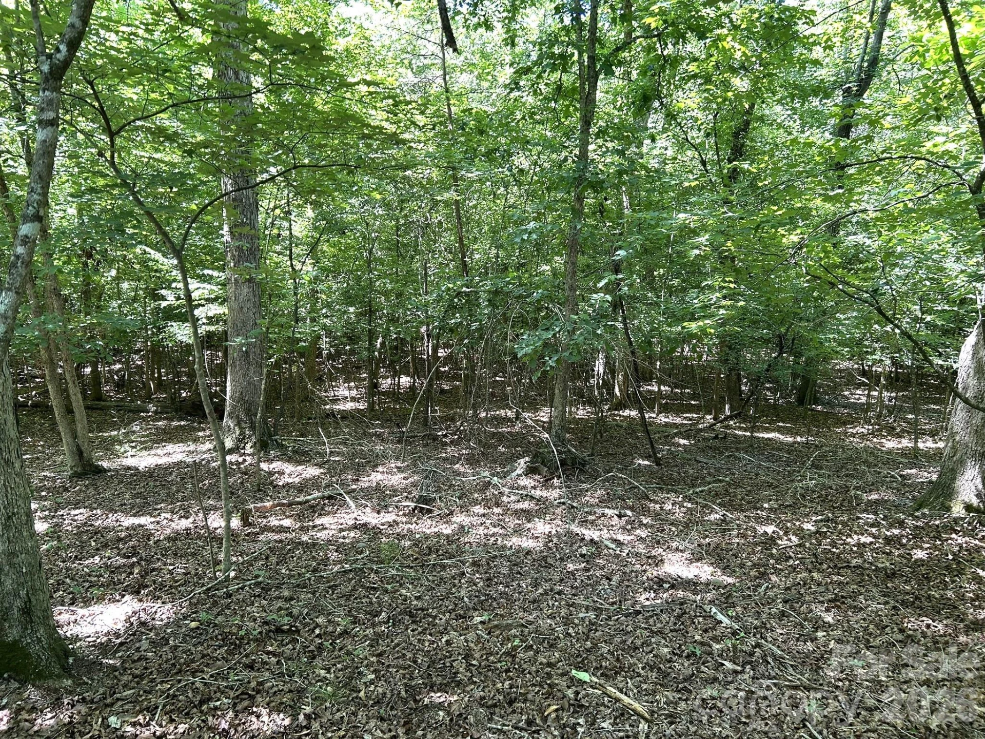 00 River Crest Parkway #26 - Photo 4