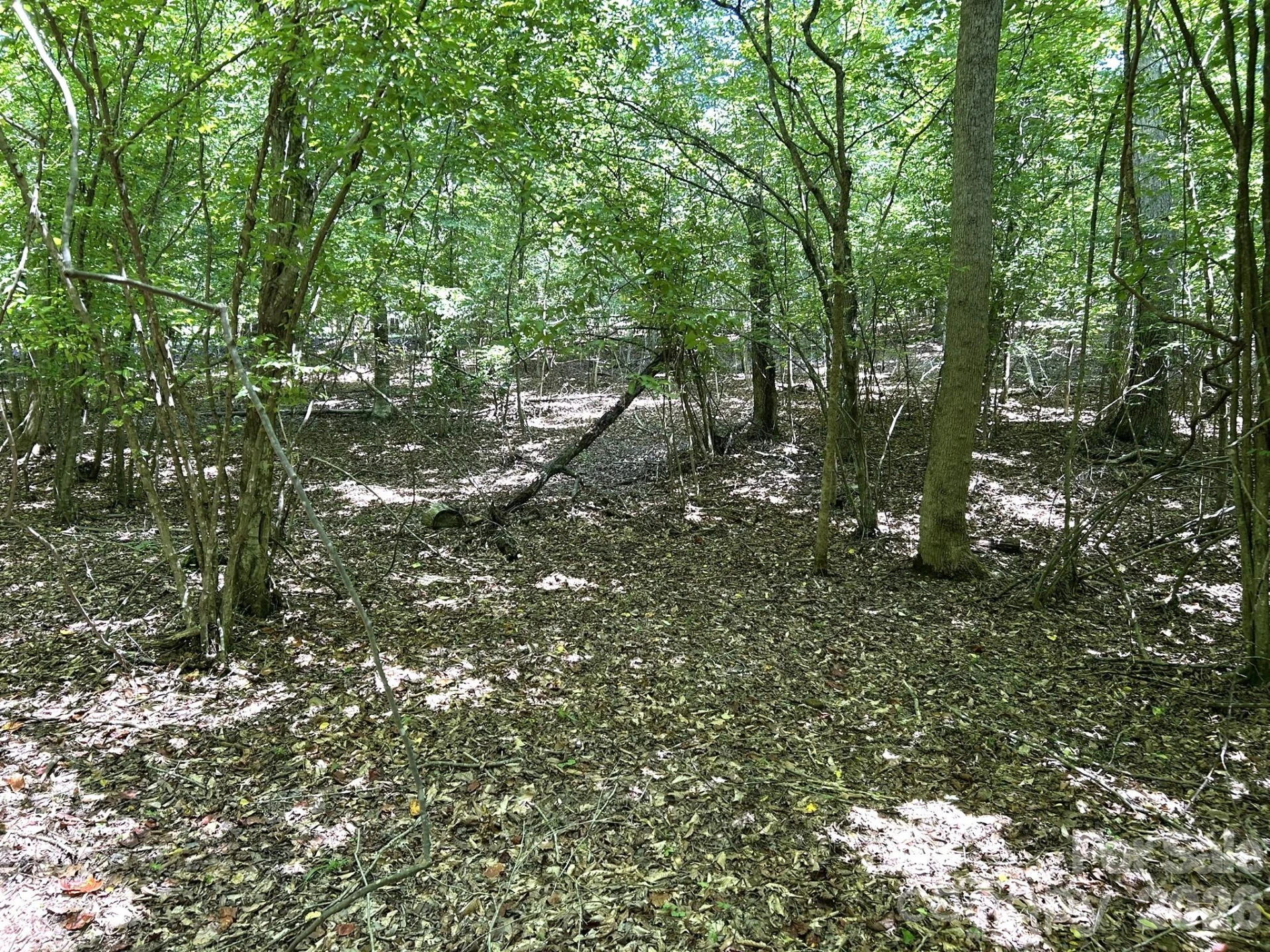 00 River Crest Parkway #26 - Photo 5