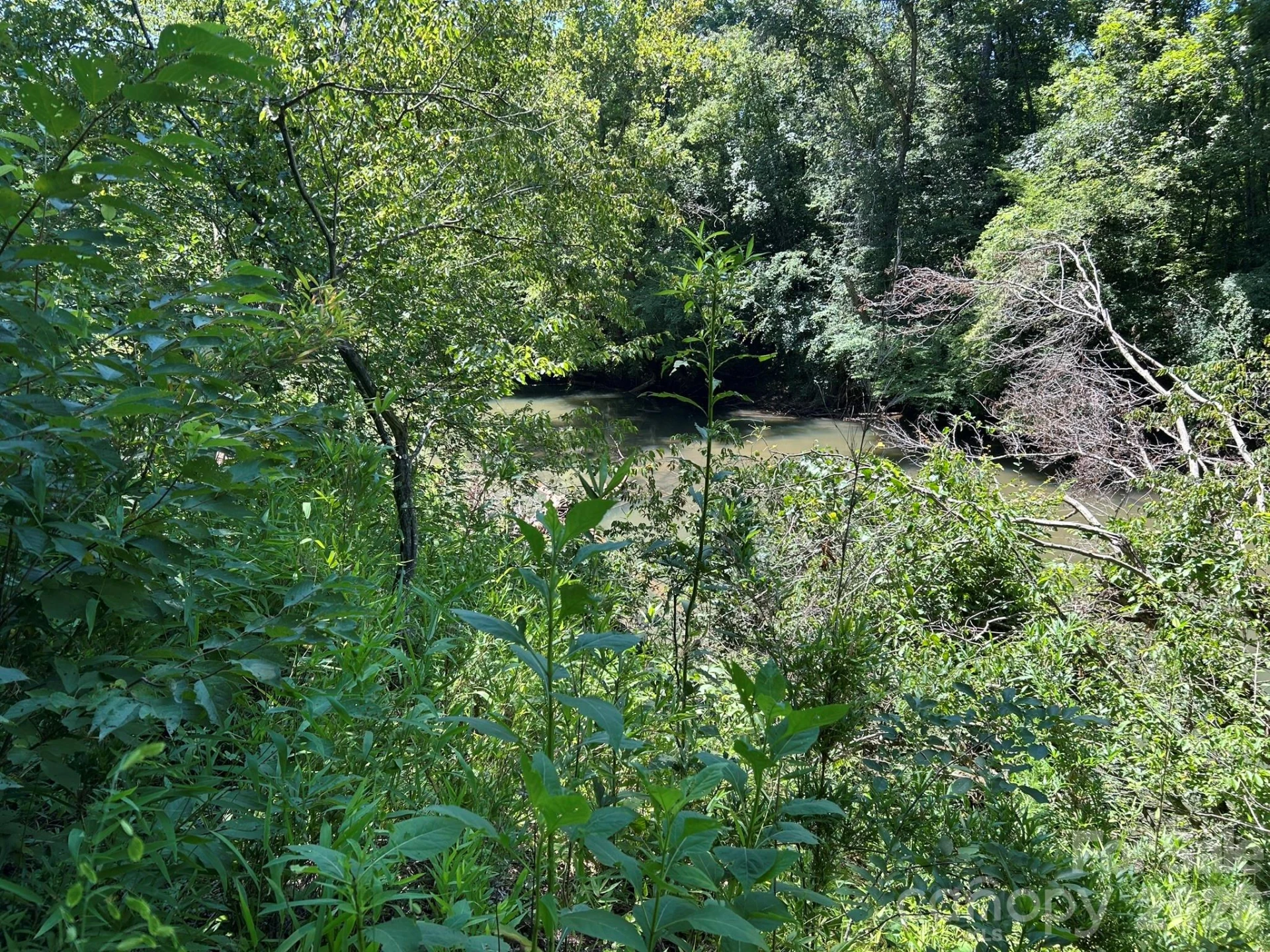 00 River Crest Parkway #26 - Photo 6