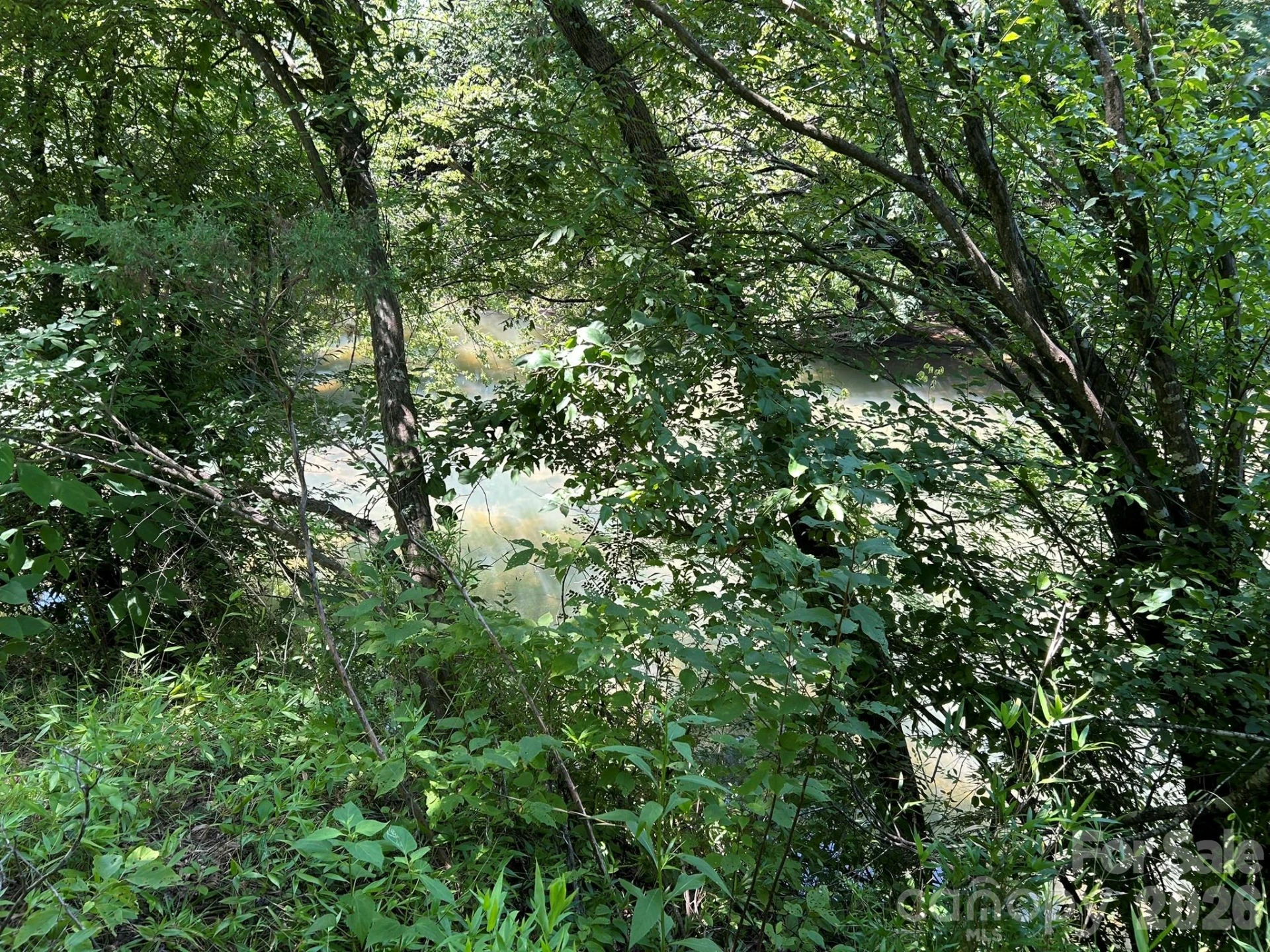 00 River Crest Parkway #26 - Photo 7