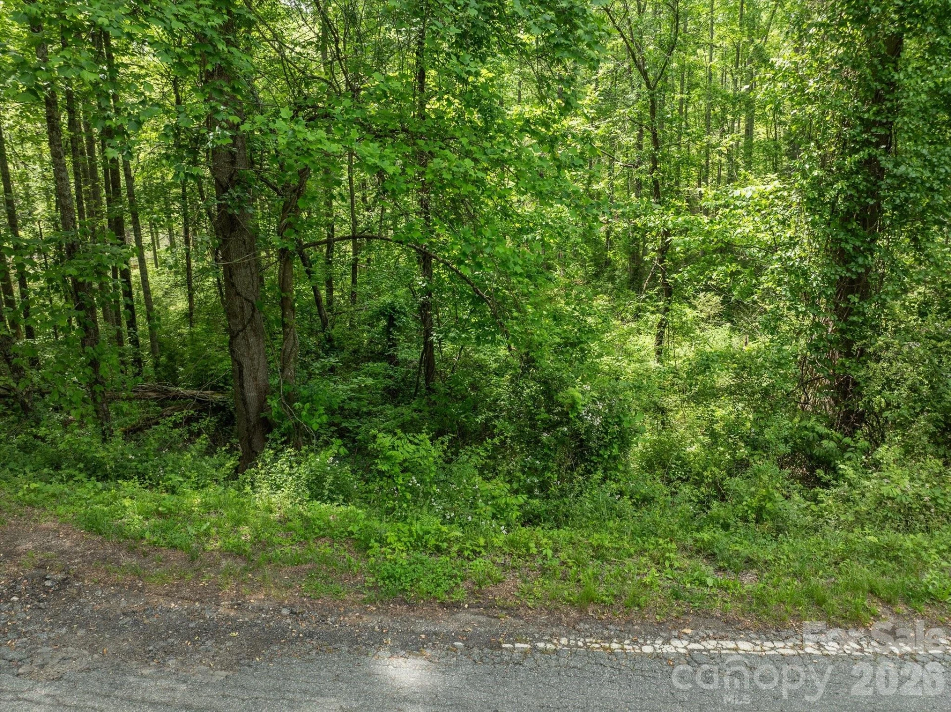 99999 Moody Cove Road #1 - Photo 12