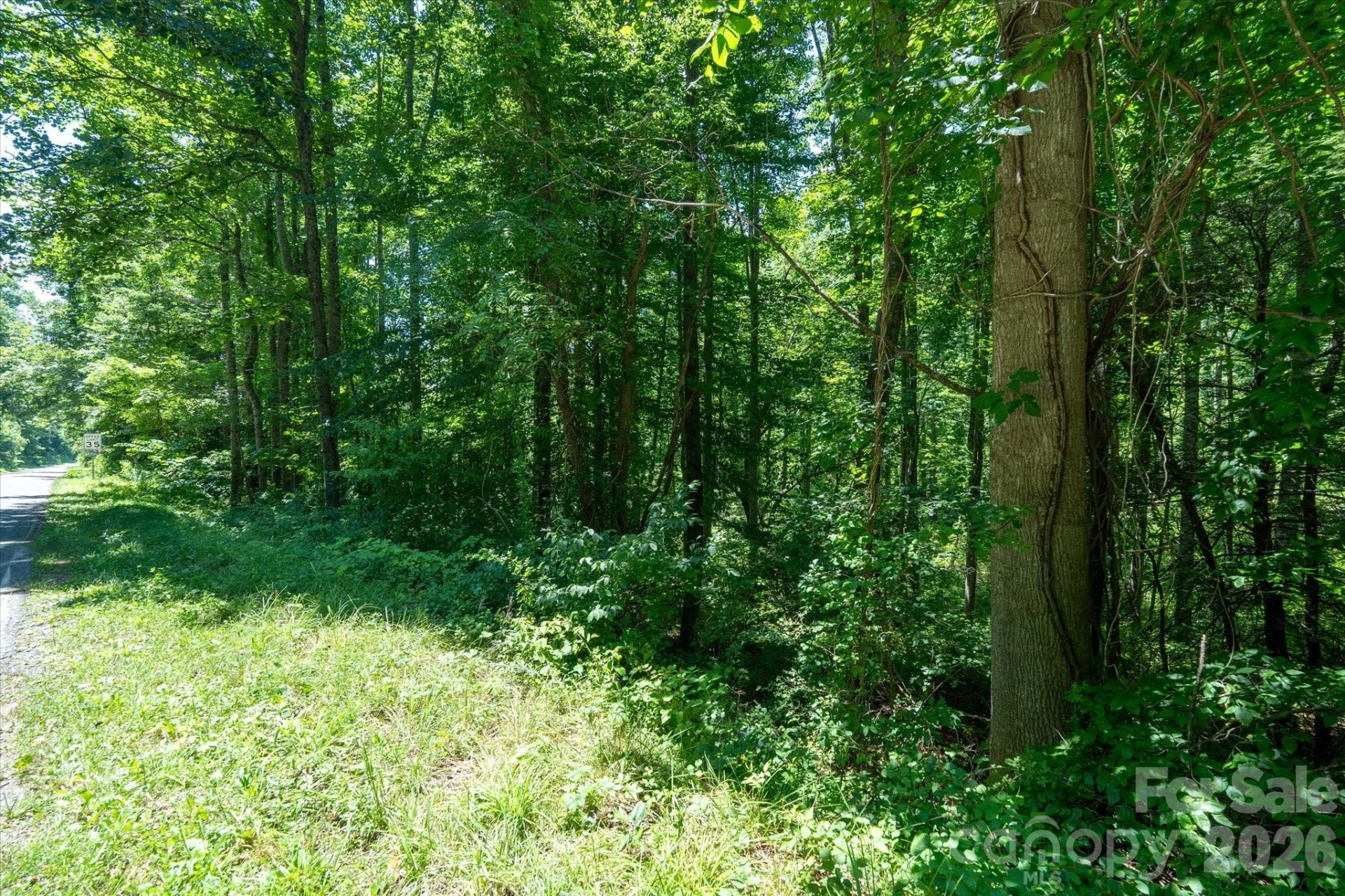 99999 Moody Cove Road #1 - Photo 17