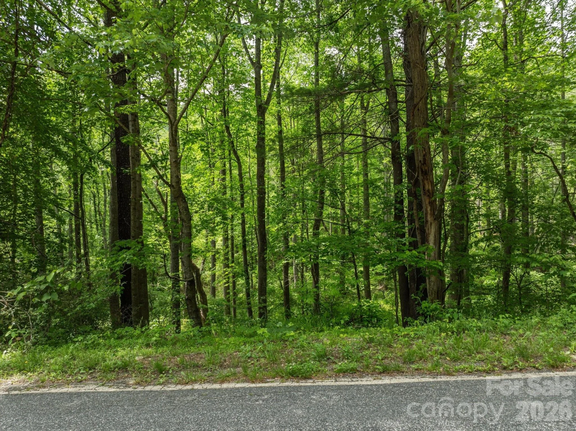 99999 Moody Cove Road #1 - Photo 6