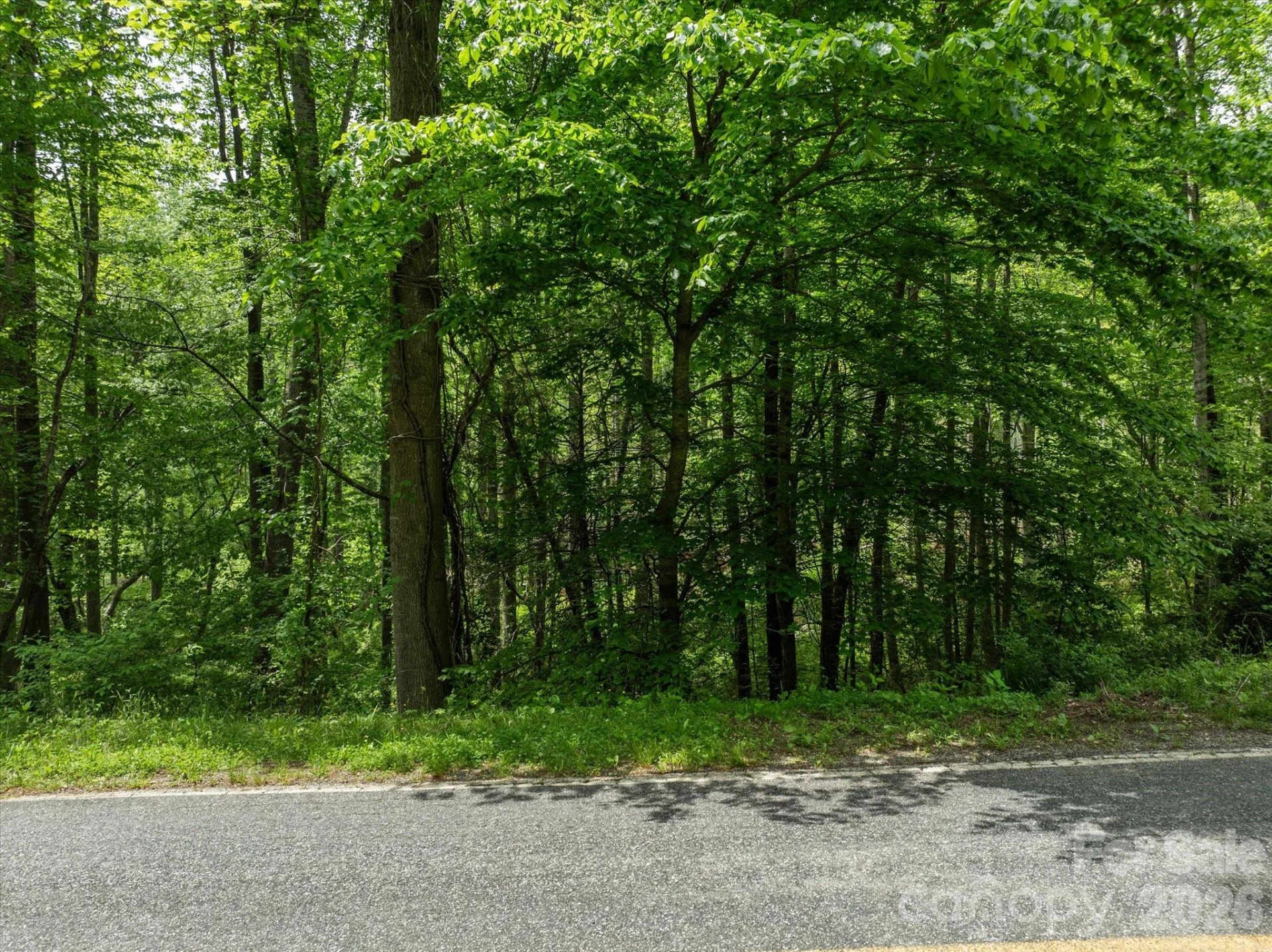 99999 Moody Cove Road #1 - Photo 8