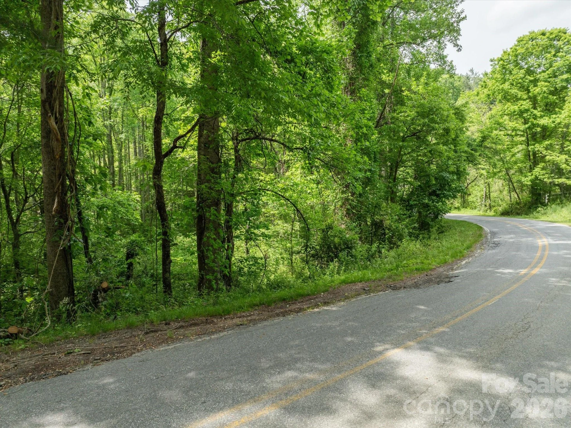 99999 Moody Cove Road #1 - Photo 9