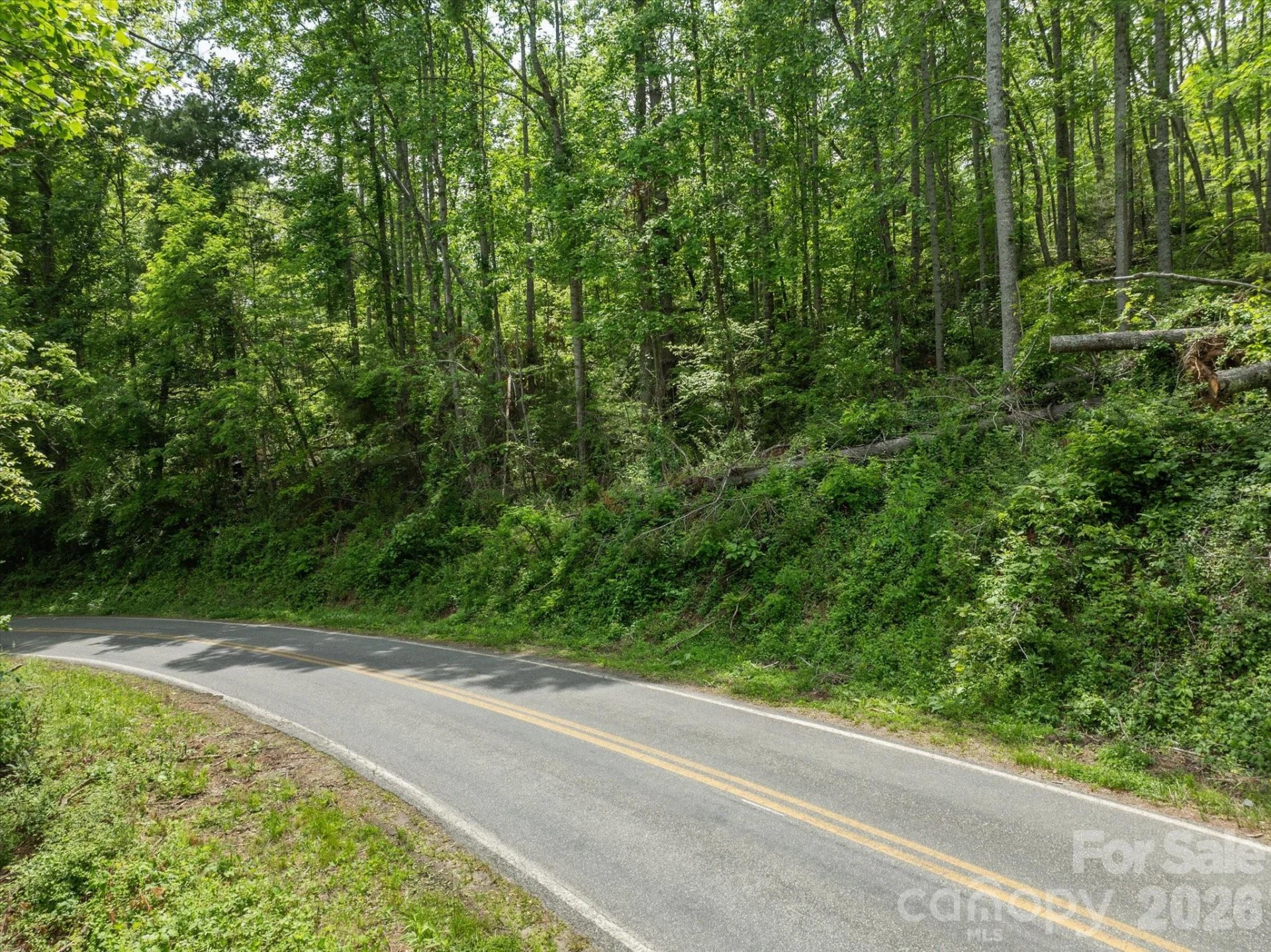 99999 Moody Cove Road #2 - Photo 11