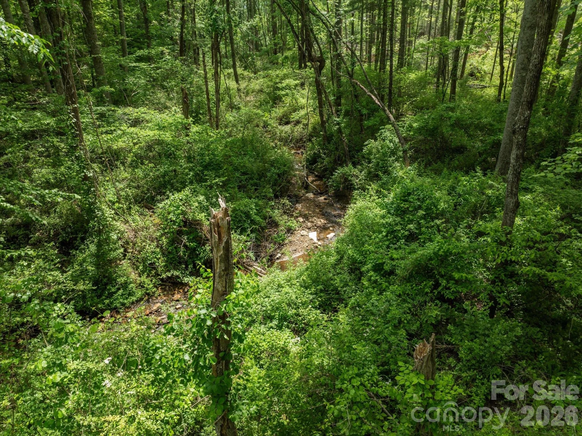 99999 Moody Cove Road #2 - Photo 15