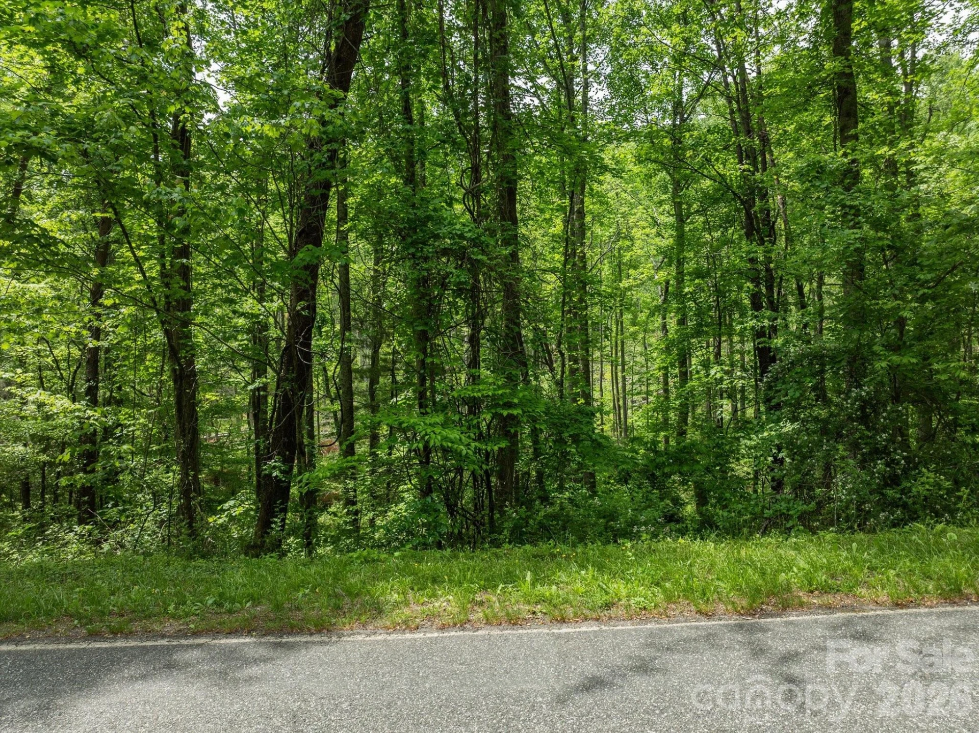 99999 Moody Cove Road #2 - Photo 6