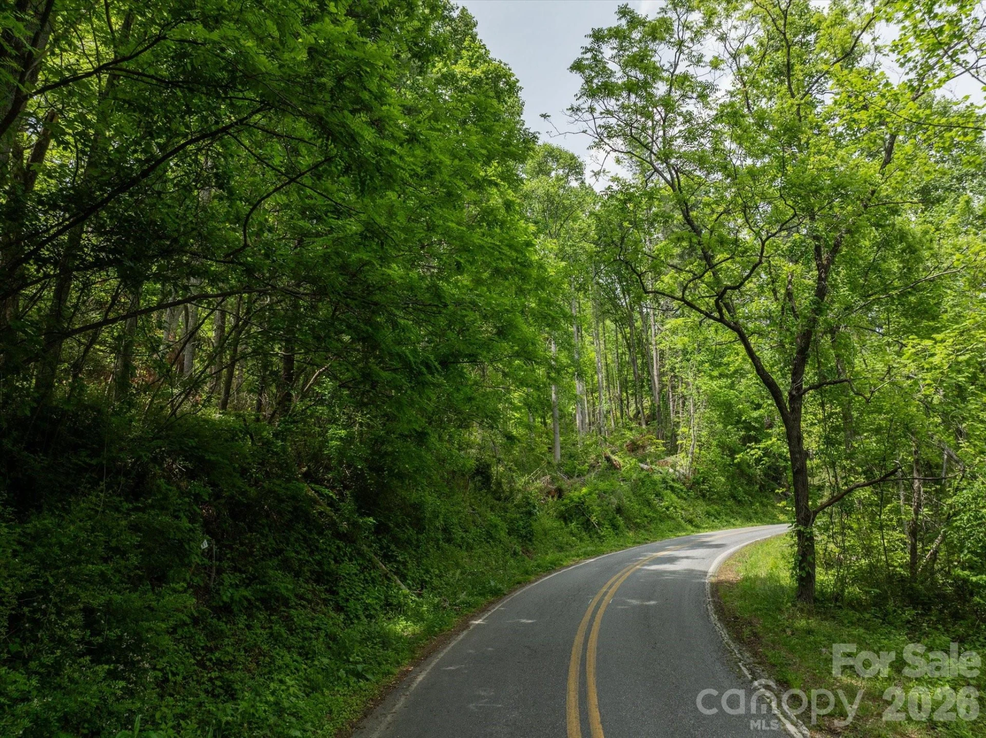 99999 Moody Cove Road #2 - Photo 8