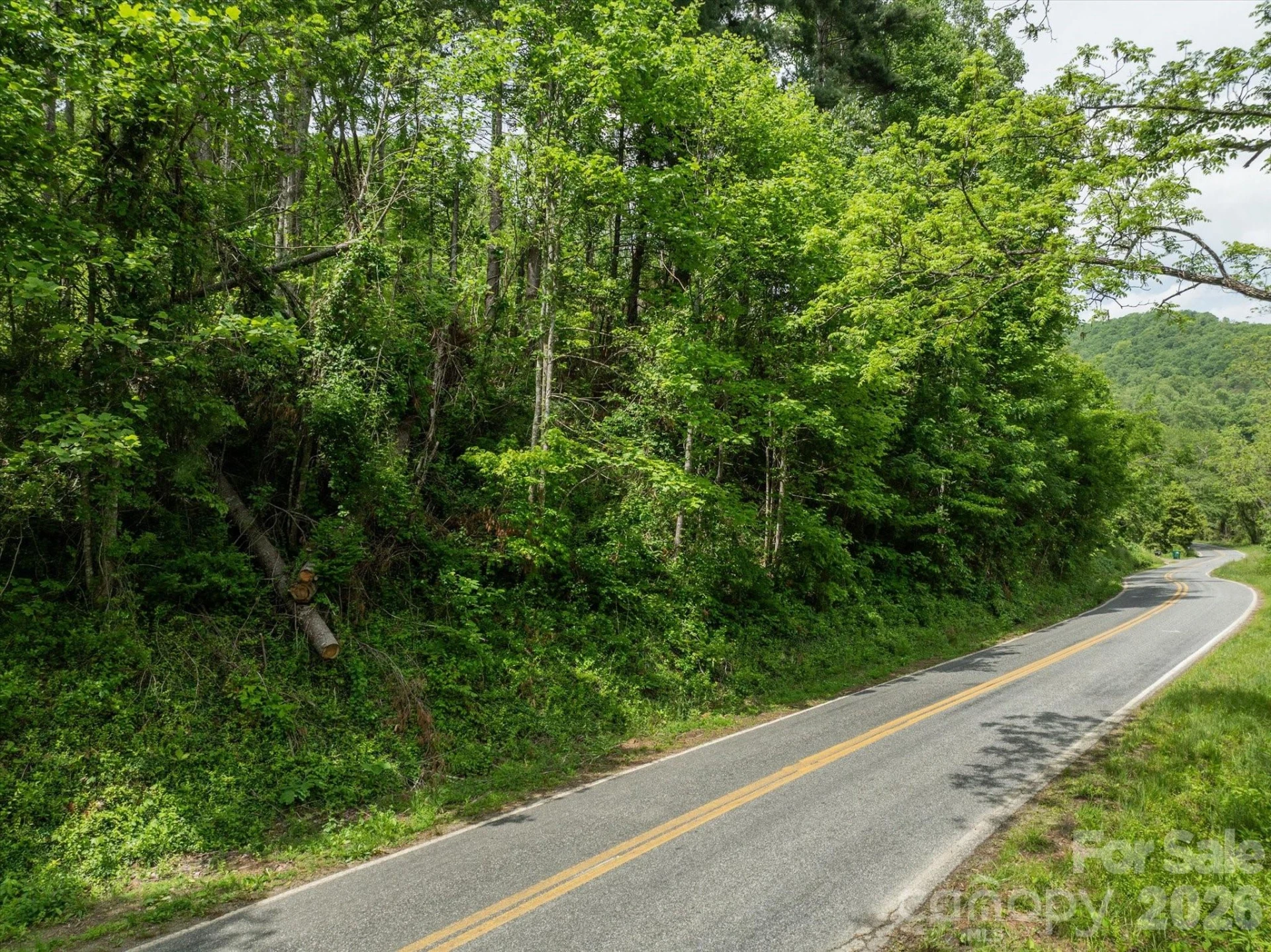 99999 Moody Cove Road #2 - Photo 9