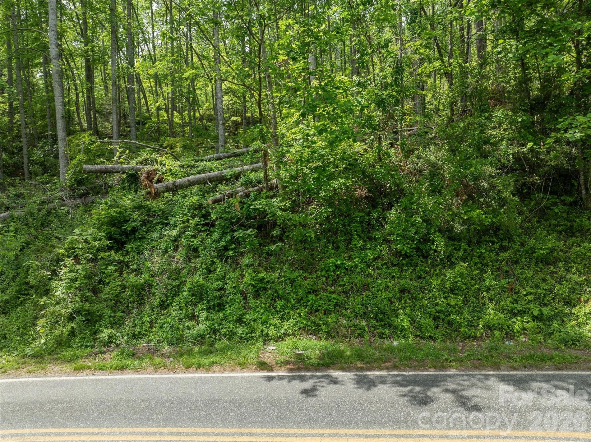 99999 Moody Cove Road #2 - Photo 10