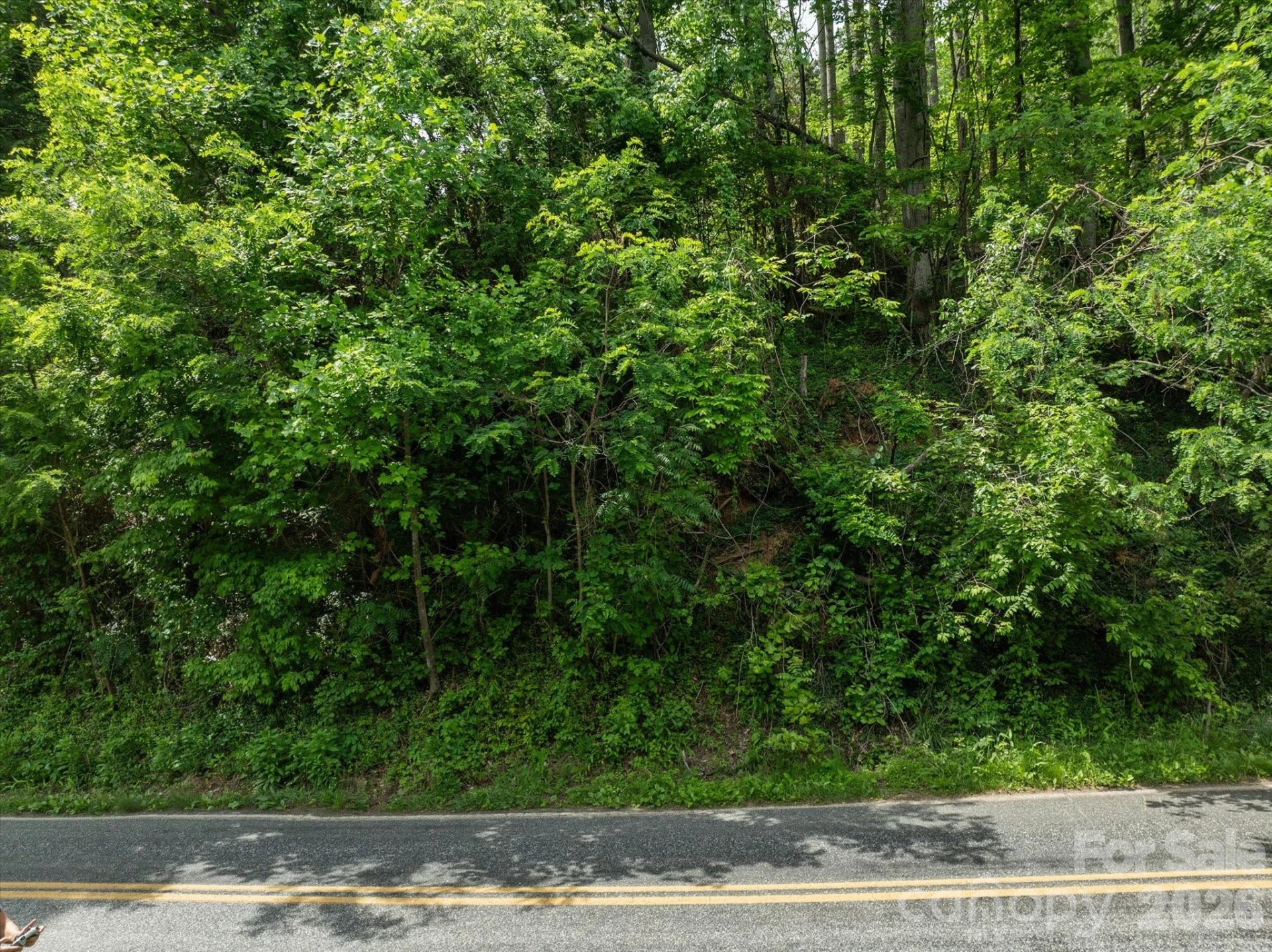 99999 Moody Cove Road #3 - Photo 10