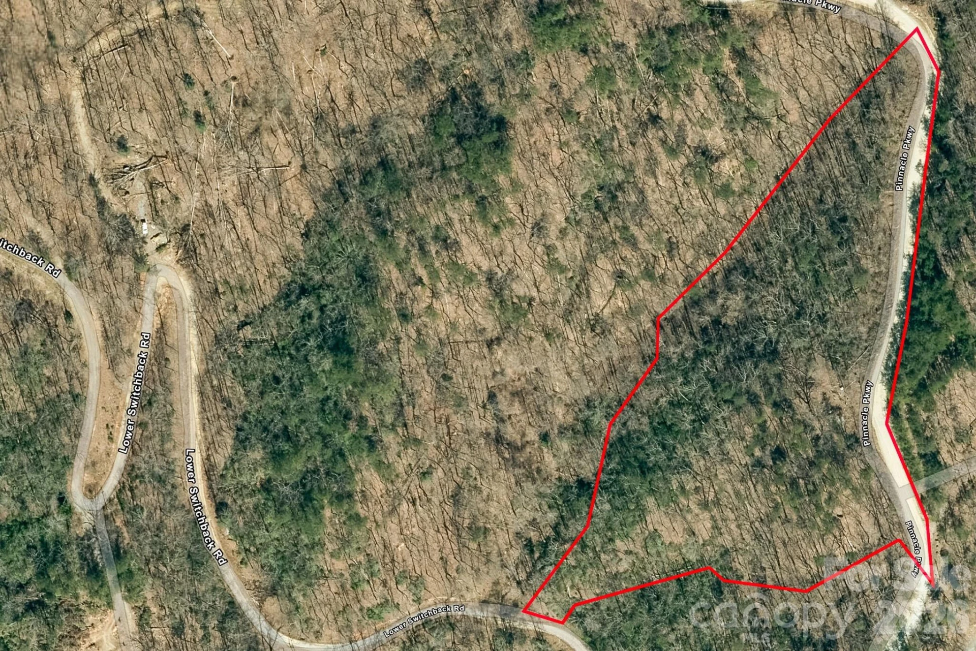 000 Pinnacle Parkway - Photo 3