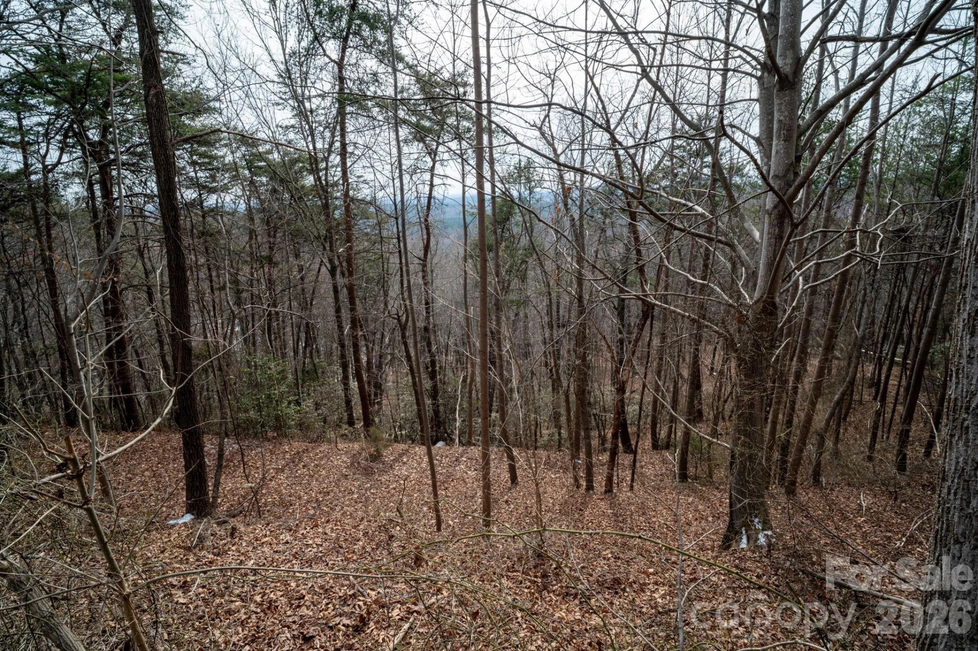 000 Pinnacle Parkway - Photo 25