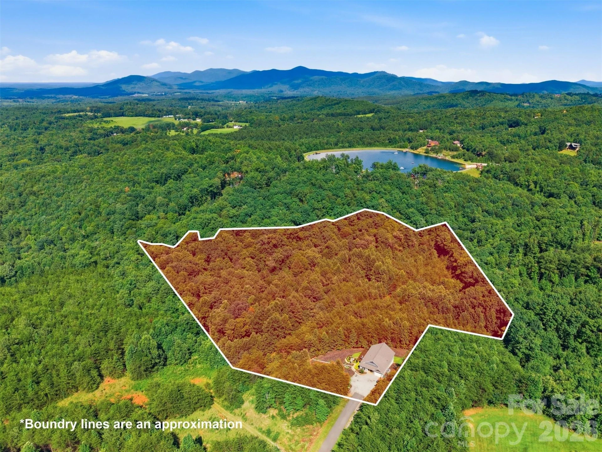 47 Pleasant Ridge Trail - Photo 8