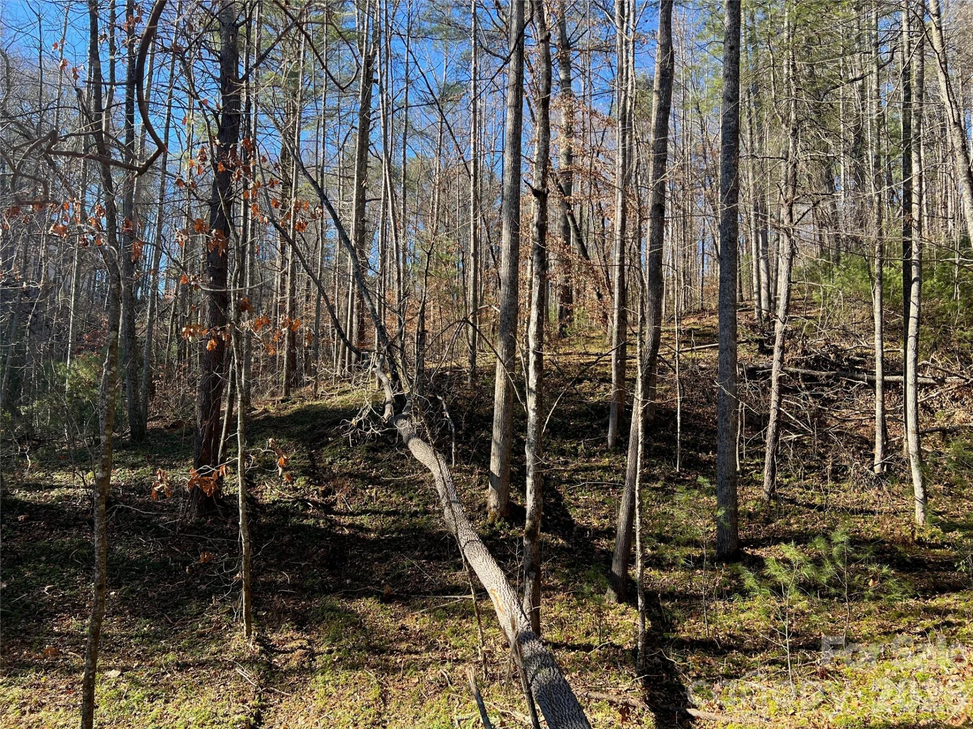 147 Falling Leaves Lane - Photo 2