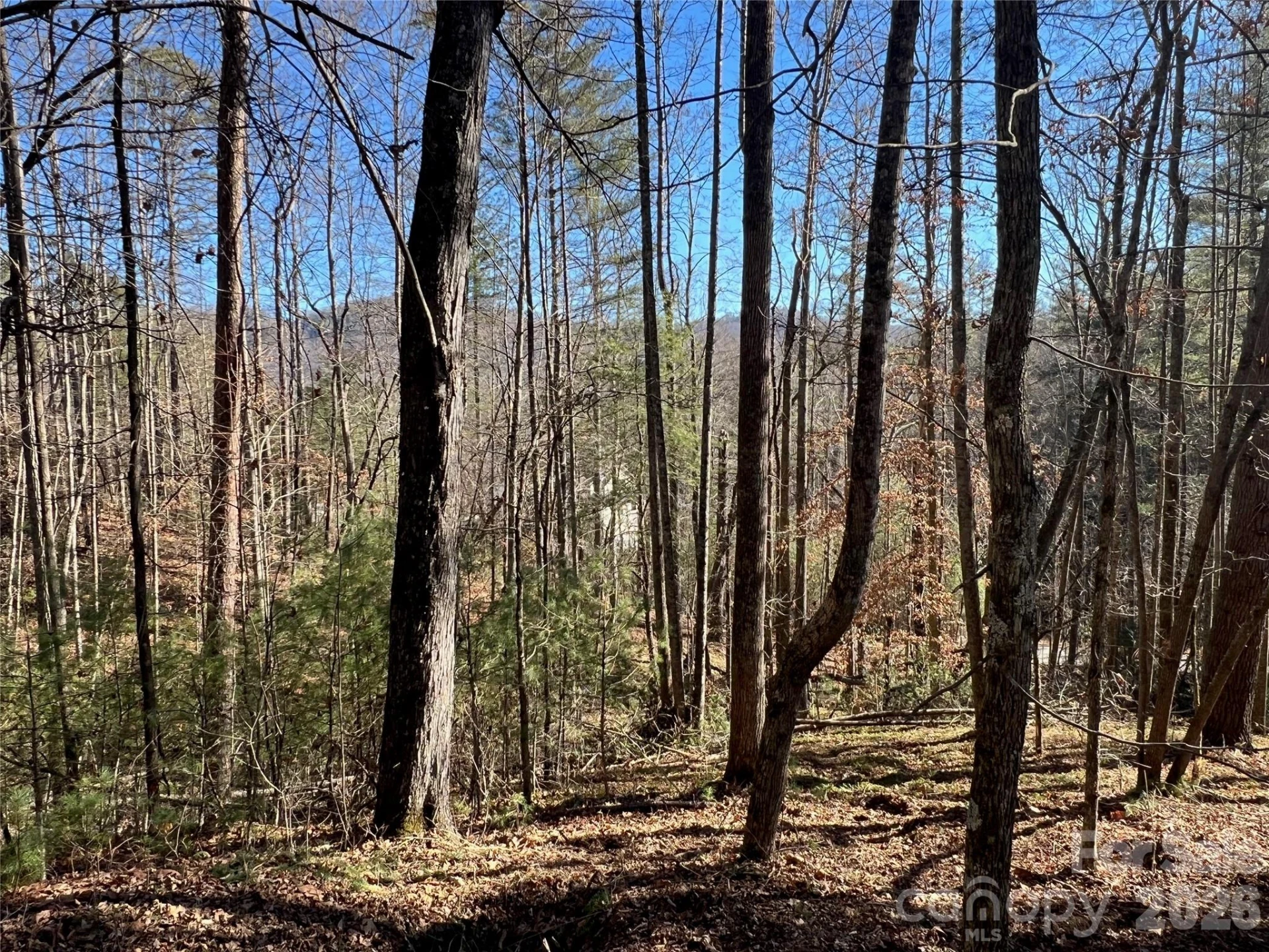 147 Falling Leaves Lane - Photo 3