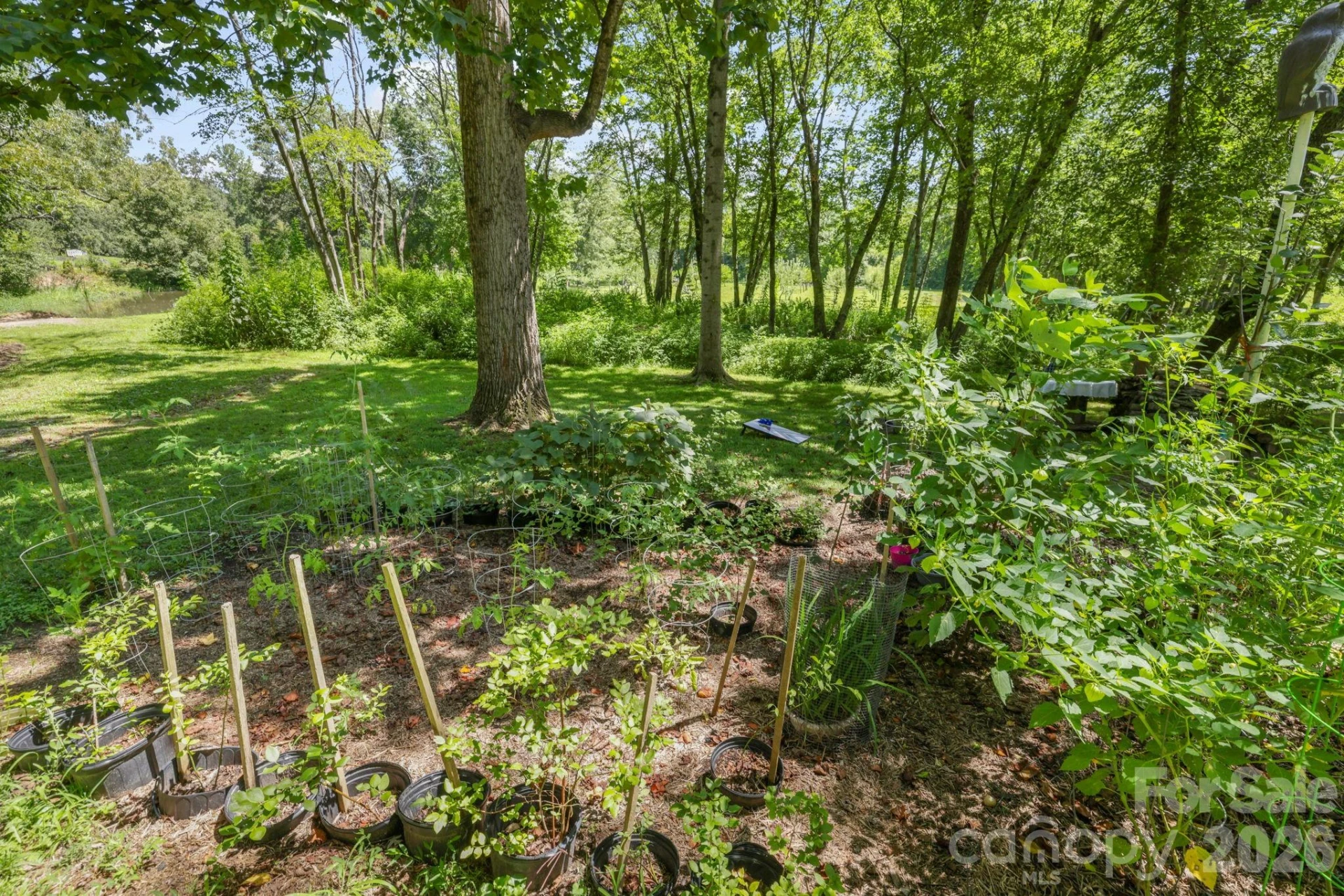 200 Newman Drive - Photo 37