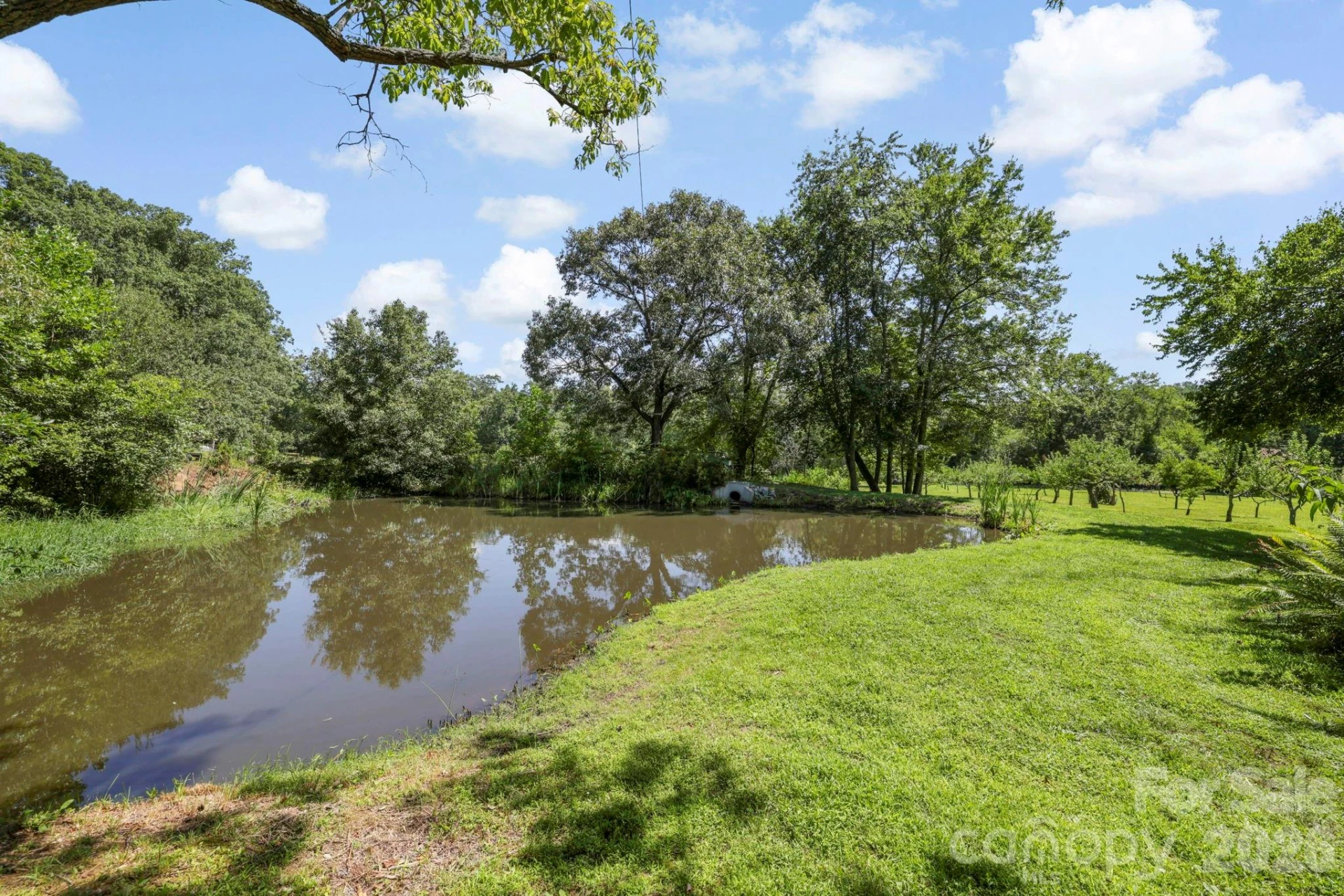 200 Newman Drive - Photo 5