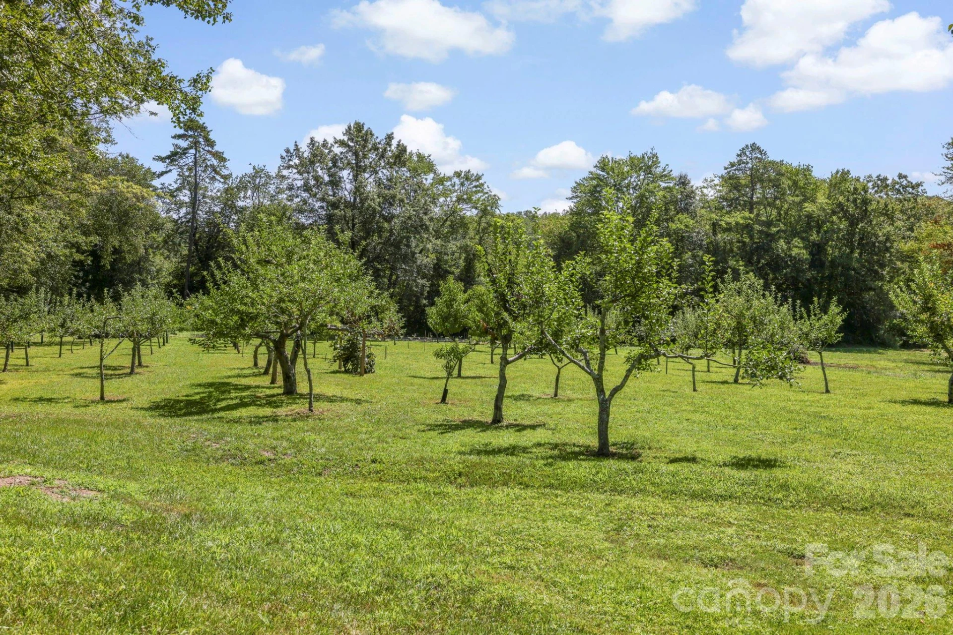 200 Newman Drive - Photo 6