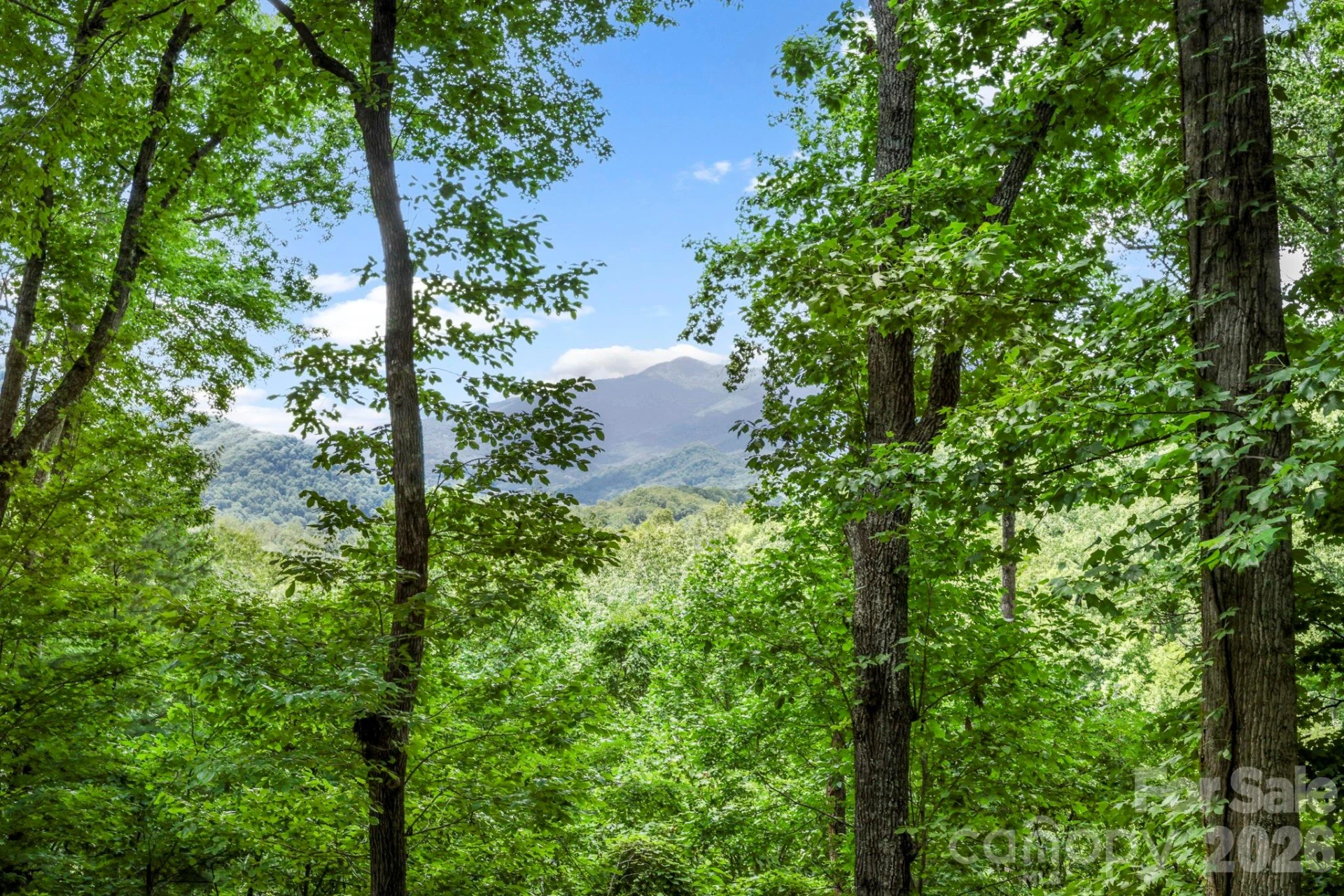 394 Hickory Drive - Photo 41