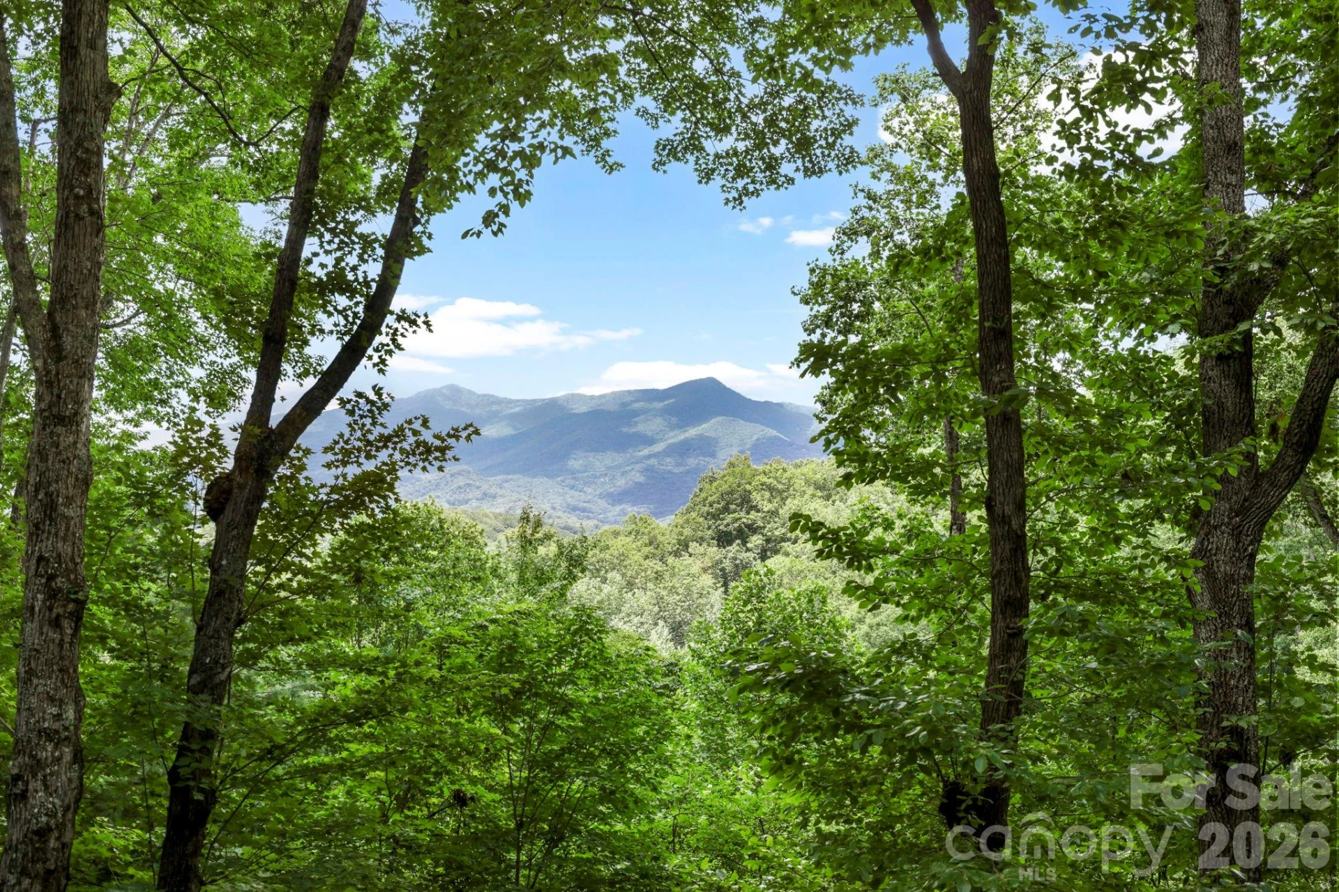 394 Hickory Drive - Photo 42