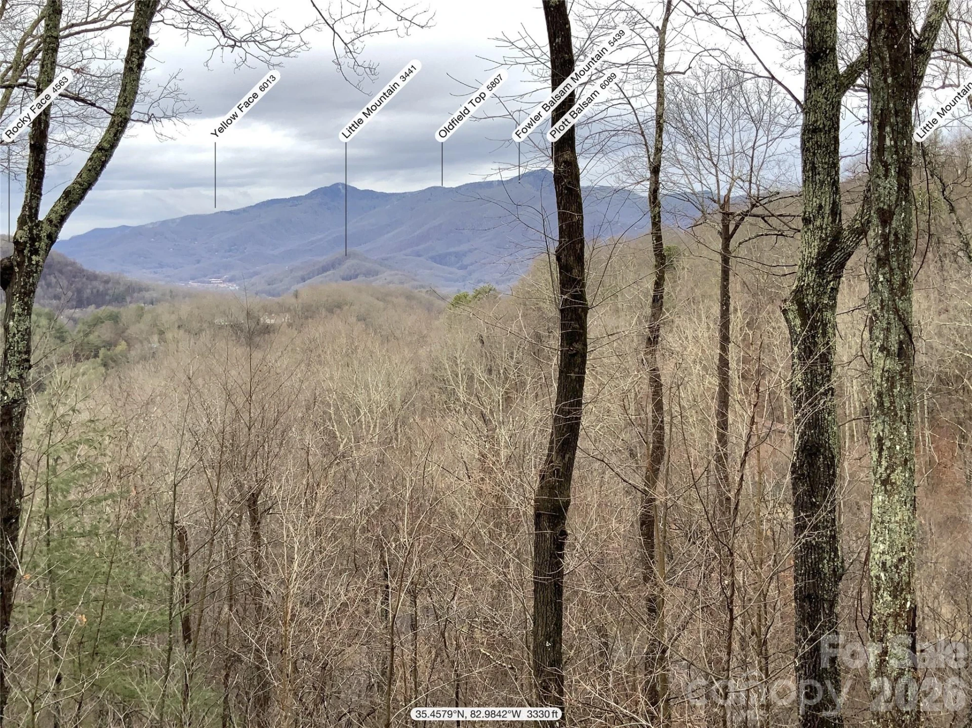 394 Hickory Drive - Photo 47
