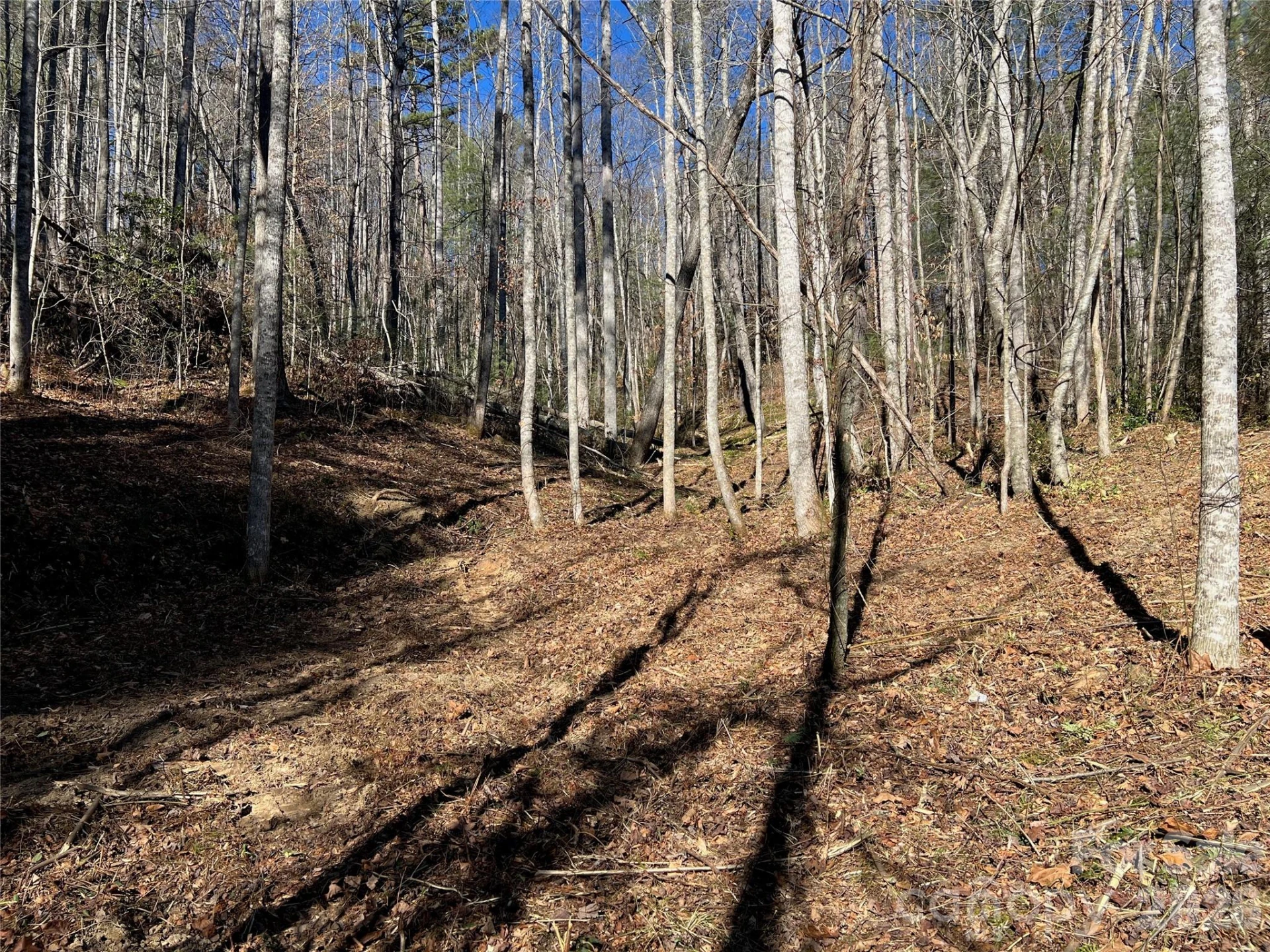 181 Falling Leaves Lane - Photo 2
