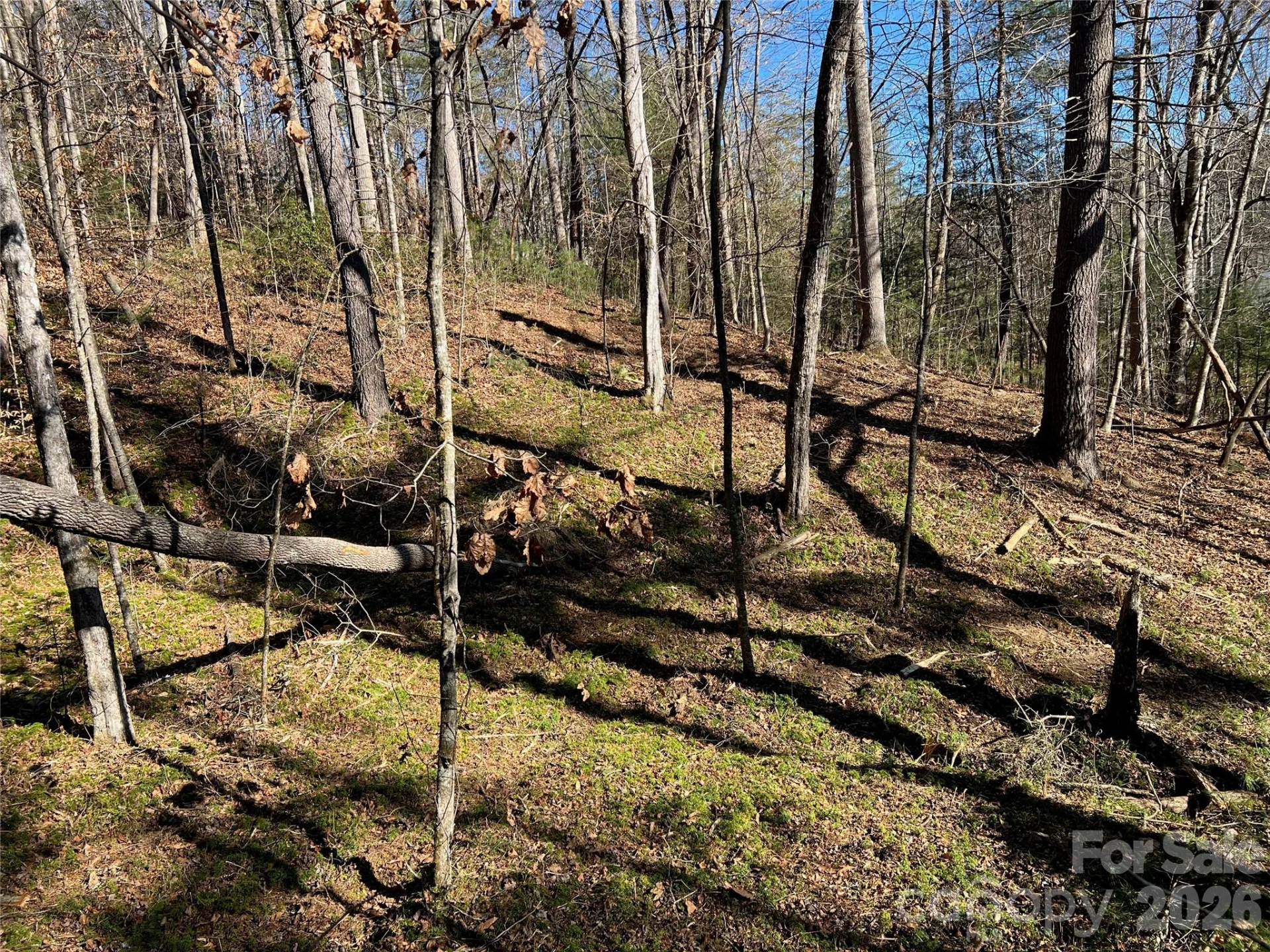 181 Falling Leaves Lane - Photo 3