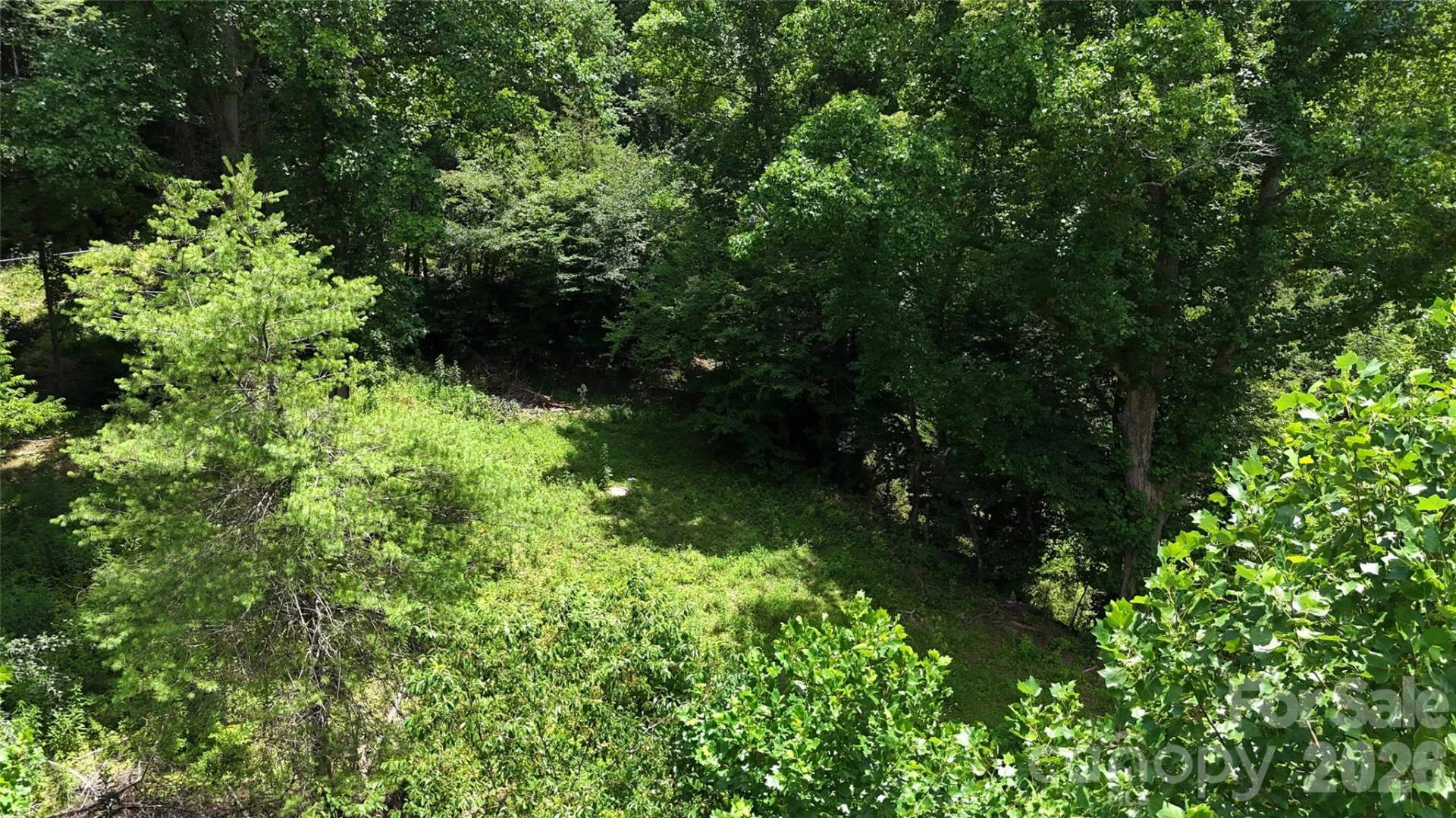TBD Paint Fork Road - Photo 14