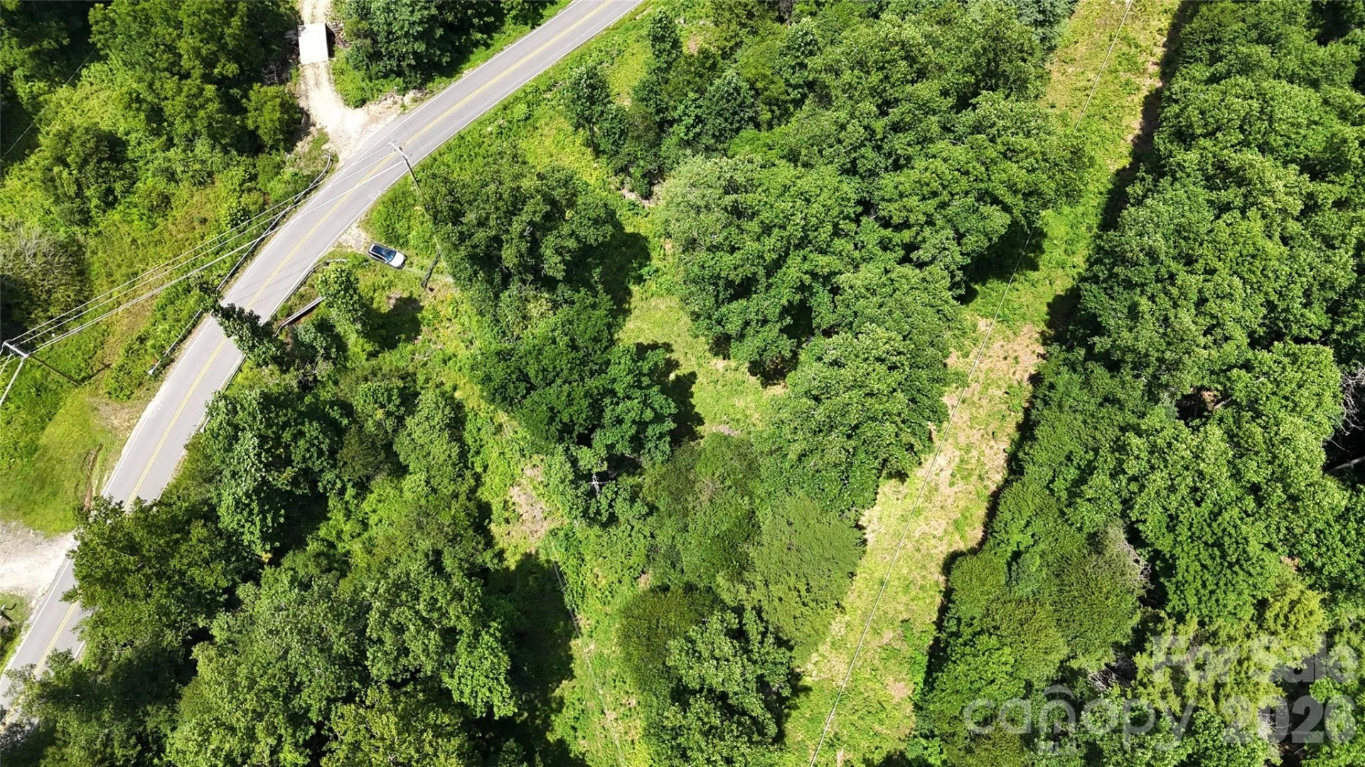 TBD Paint Fork Road - Photo 17