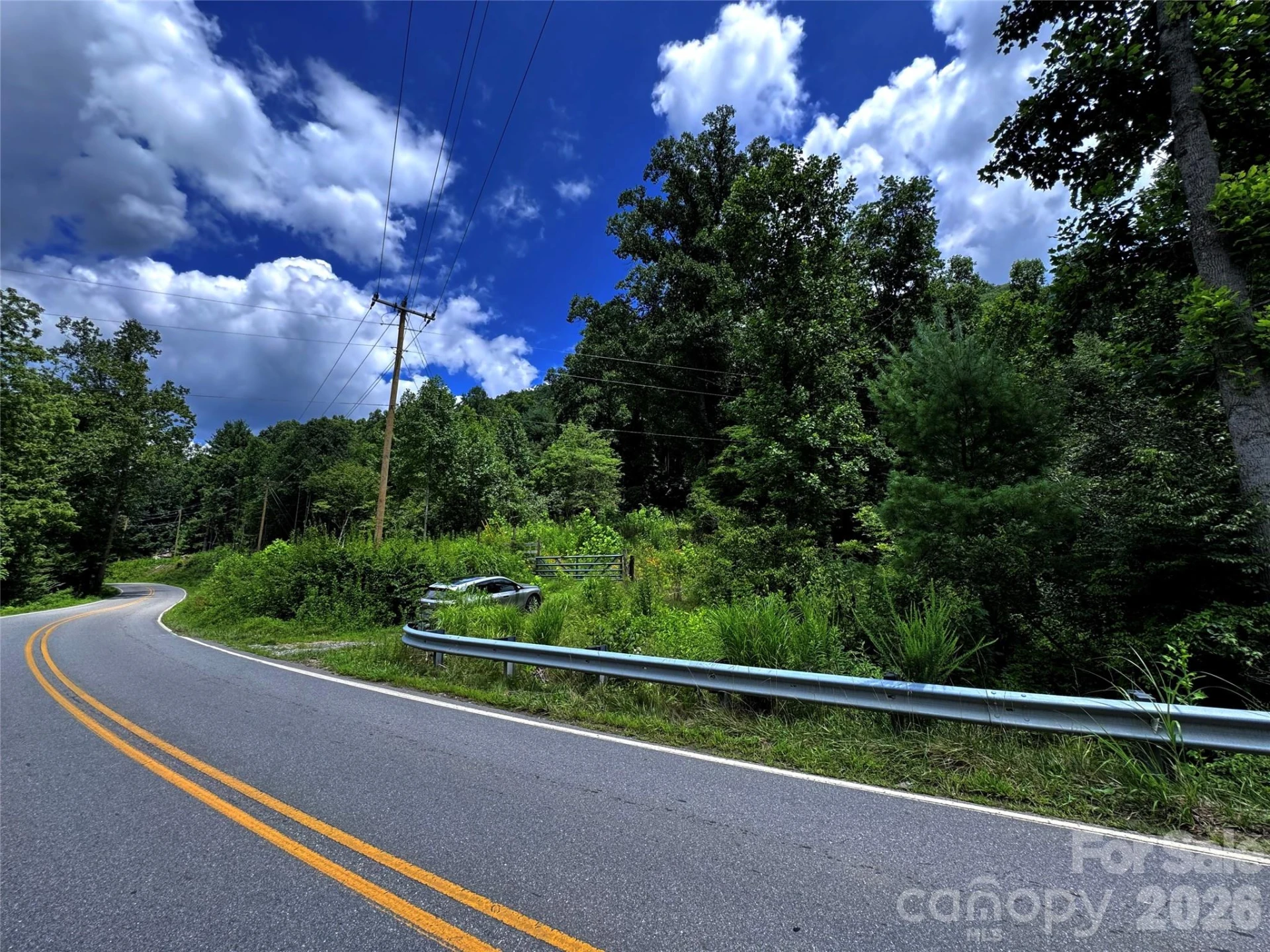 TBD Paint Fork Road - Photo 18
